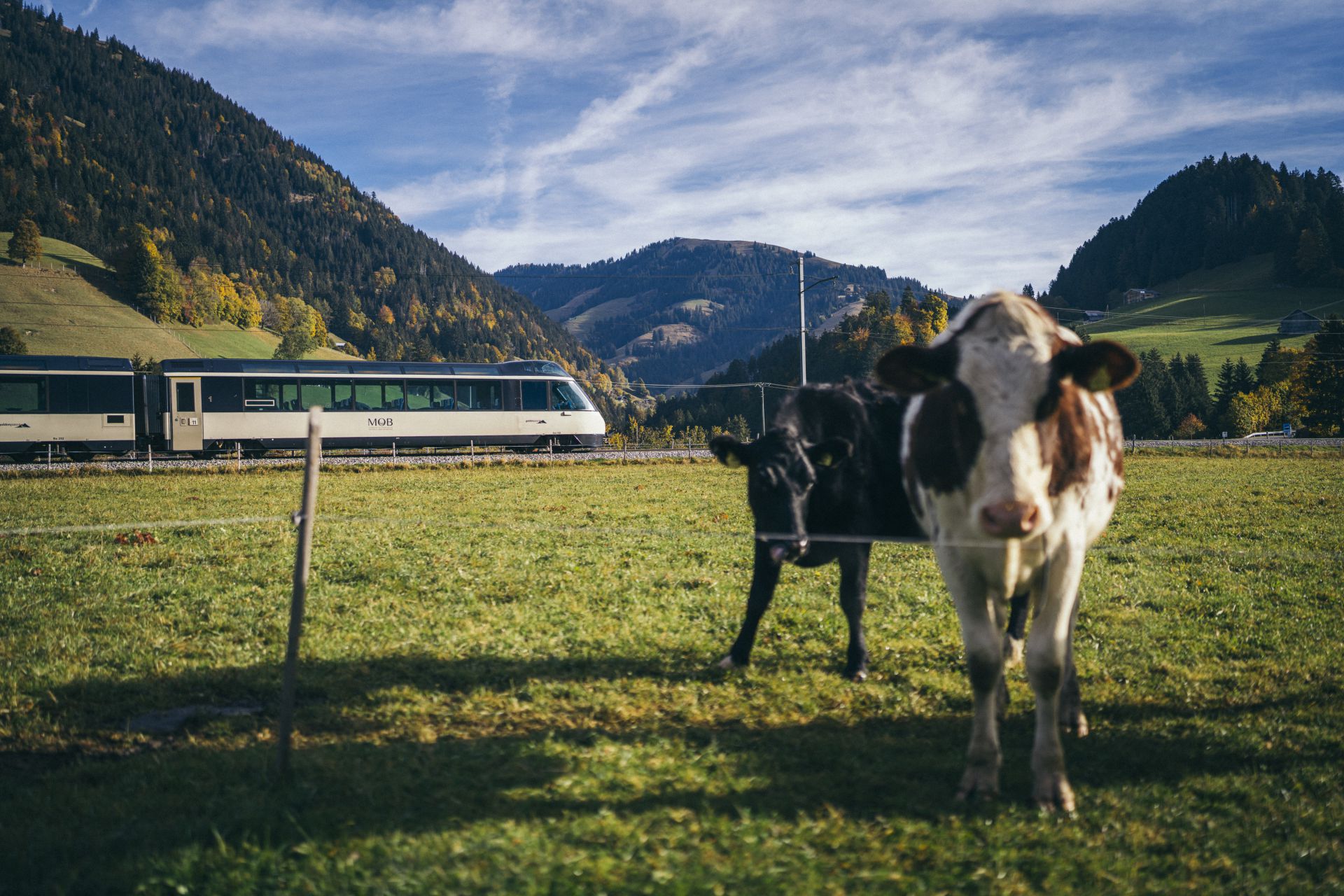 GoldenPass Panoramic Autumn 002