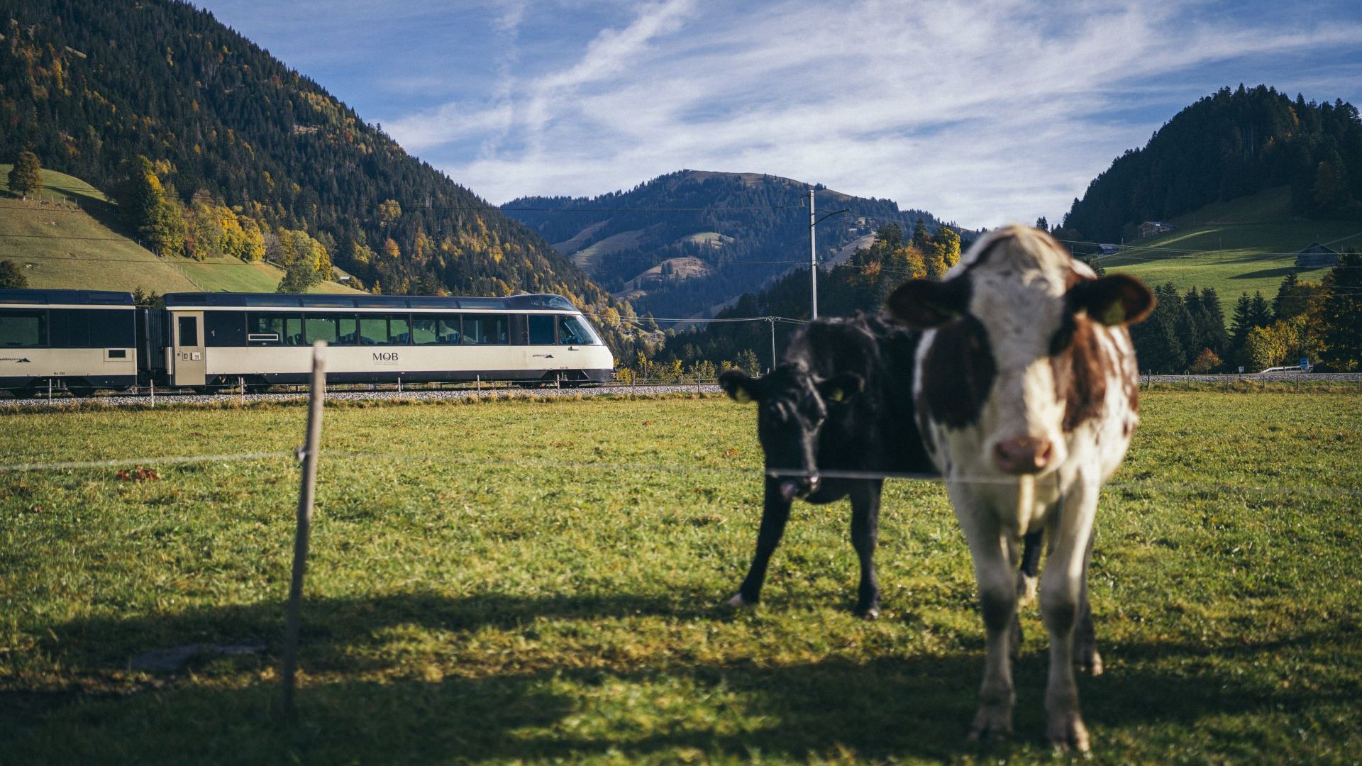 GoldenPass Panoramic Autumn 002