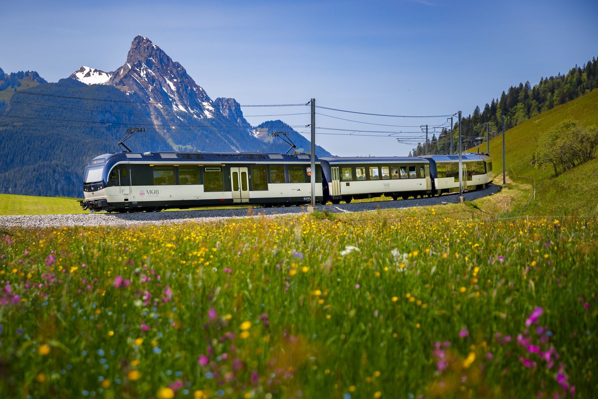 goldenpass panoramic summer 002