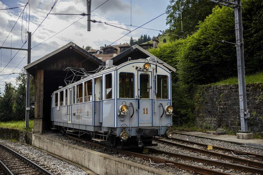 MOB BC 11