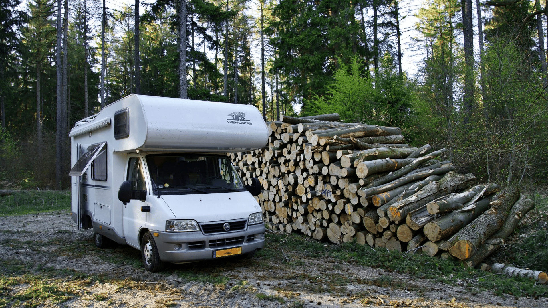 Camping car parking spaces in the forest - Summer - Pays-d'Enhaut - Canva
