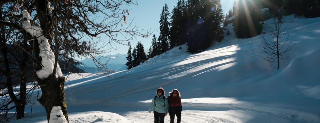 Leysin - Winterwanderung in Les Fers - Winter