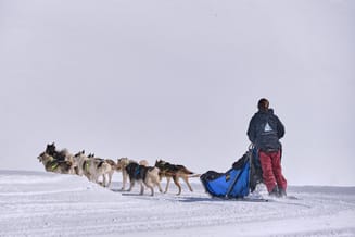 Vue de dos de Charlotte et de ses chiens qui tirent le traîneau à Glacier 3000