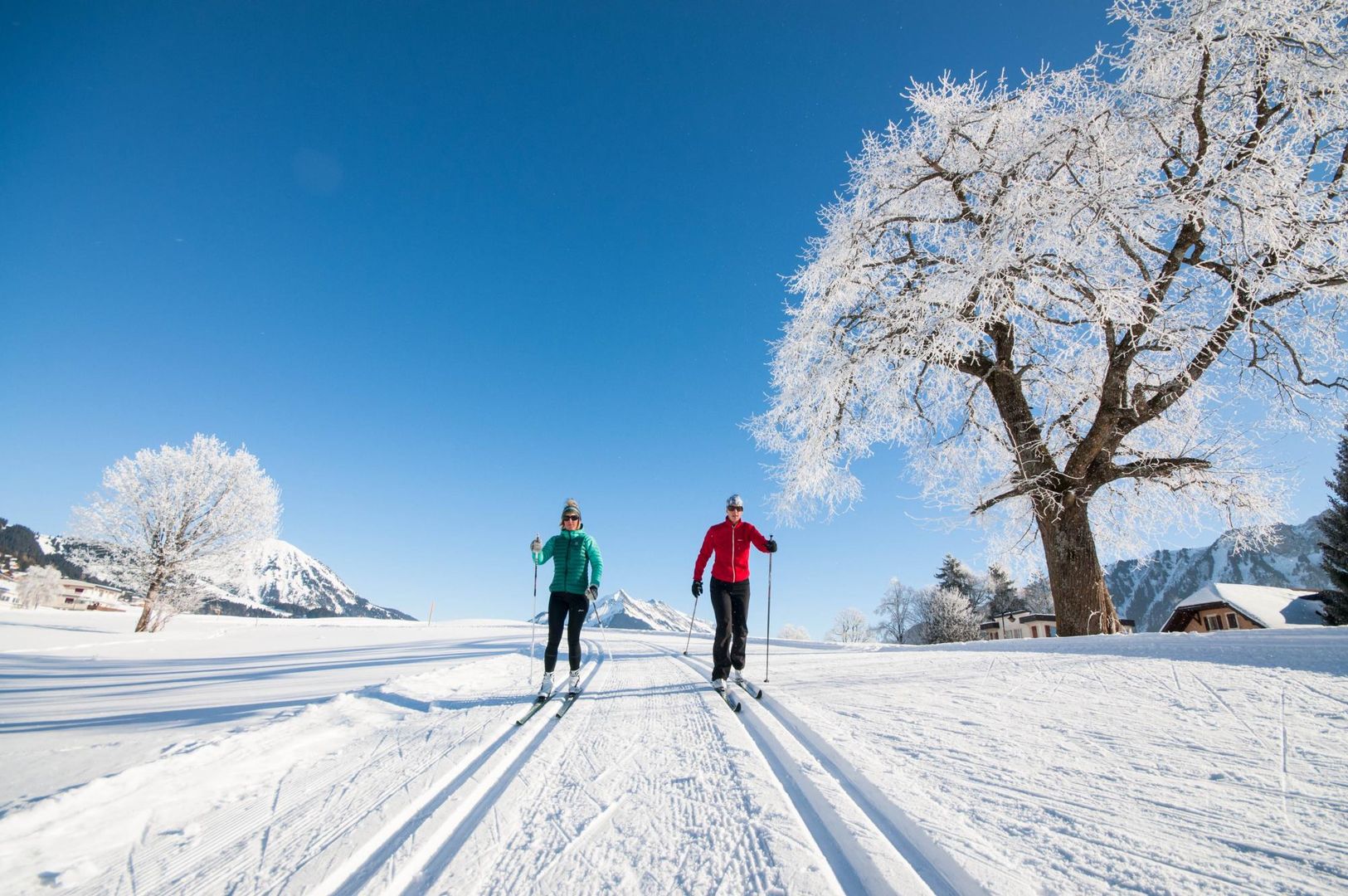 Ski de fond avec fondeurs de loin - hiver - Leysin