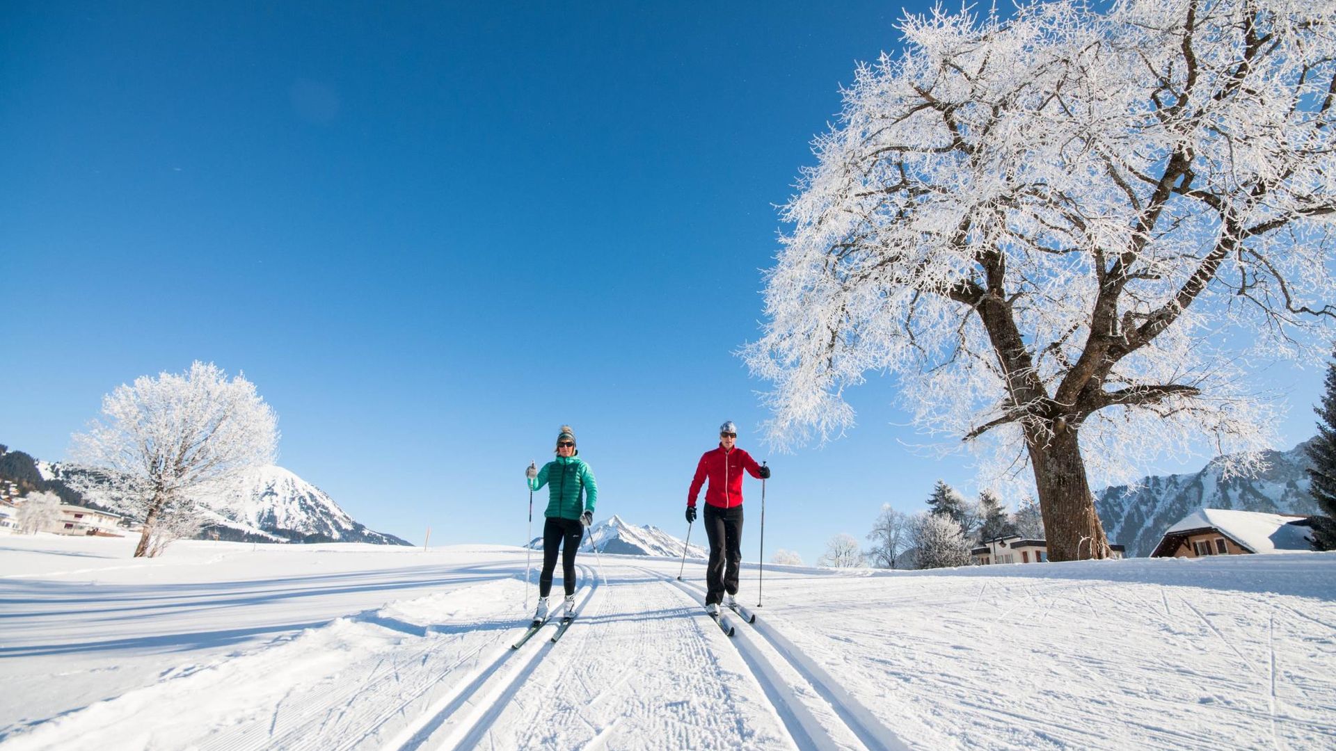 Ski de fond avec fondeurs de loin - hiver - Leysin