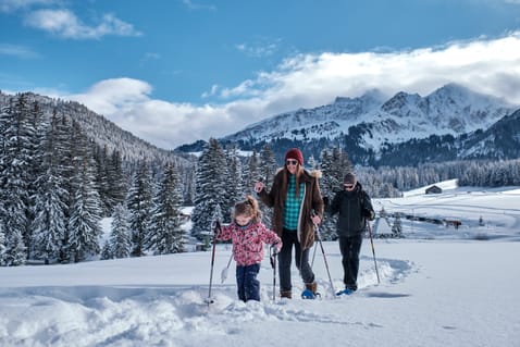 Best winter hikes, Vaud Alps