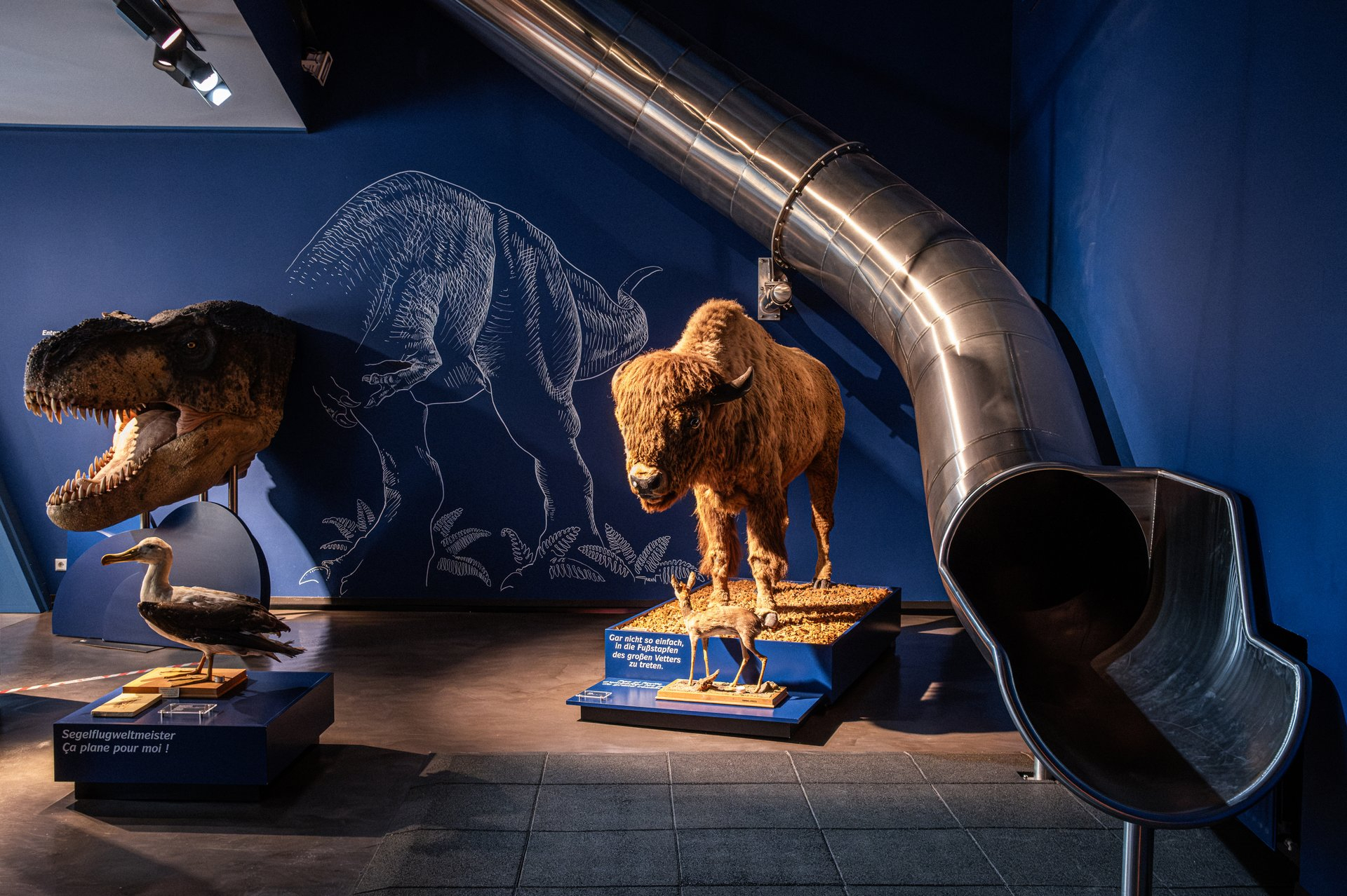 natur musée