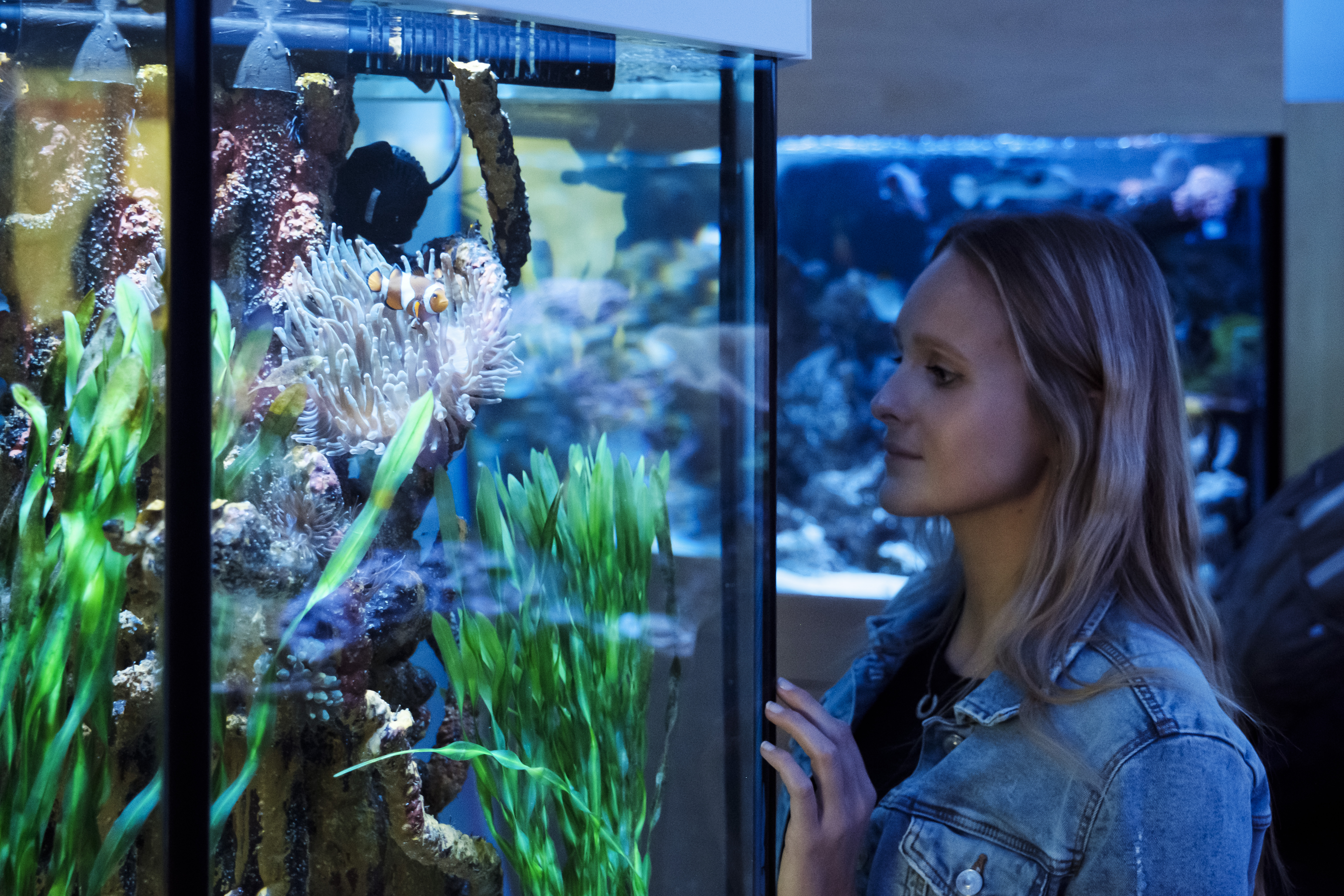 Aquarium Wasserbillig