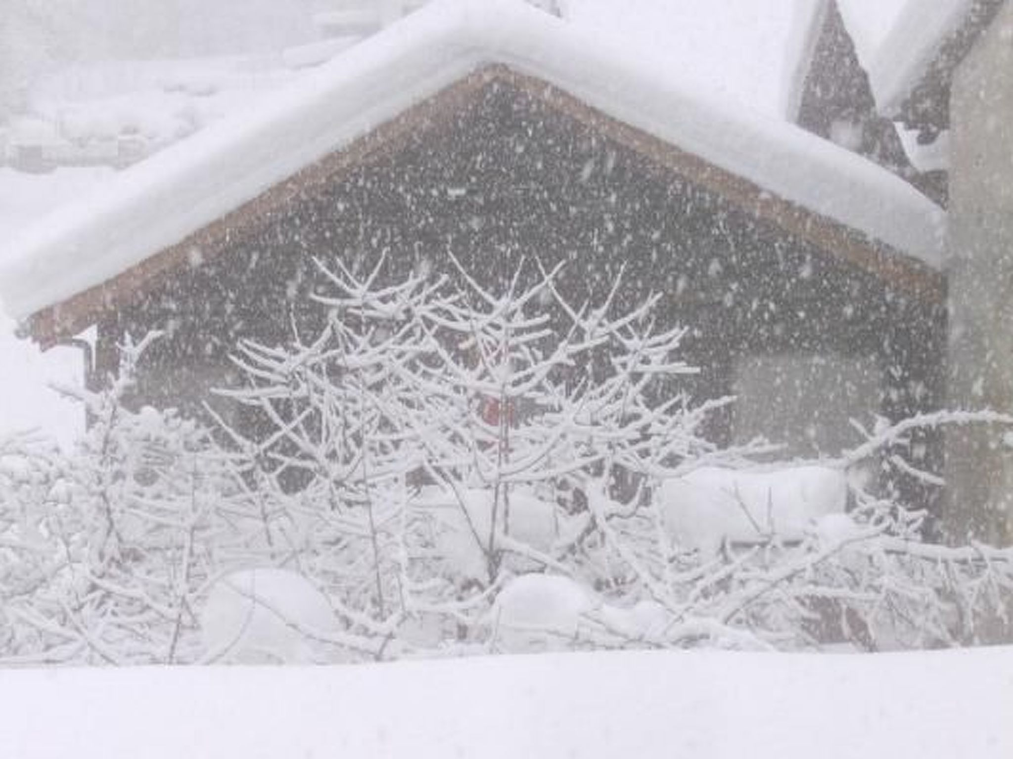 interhome-mit Bergblick