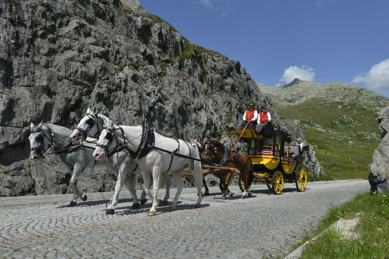 Legendary Gotthard Stagecoach Rides