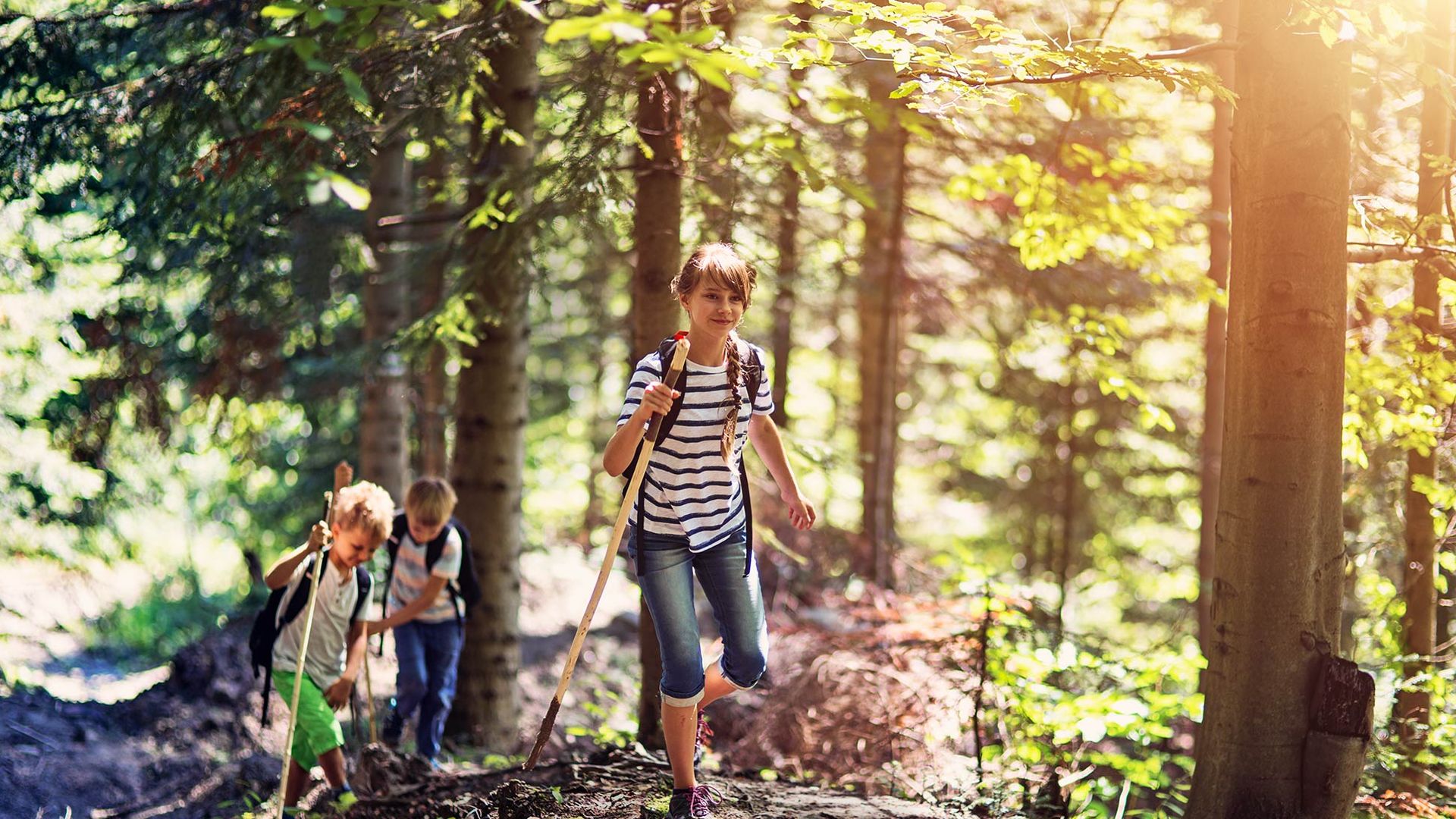 Familienerlebnisse im Wald