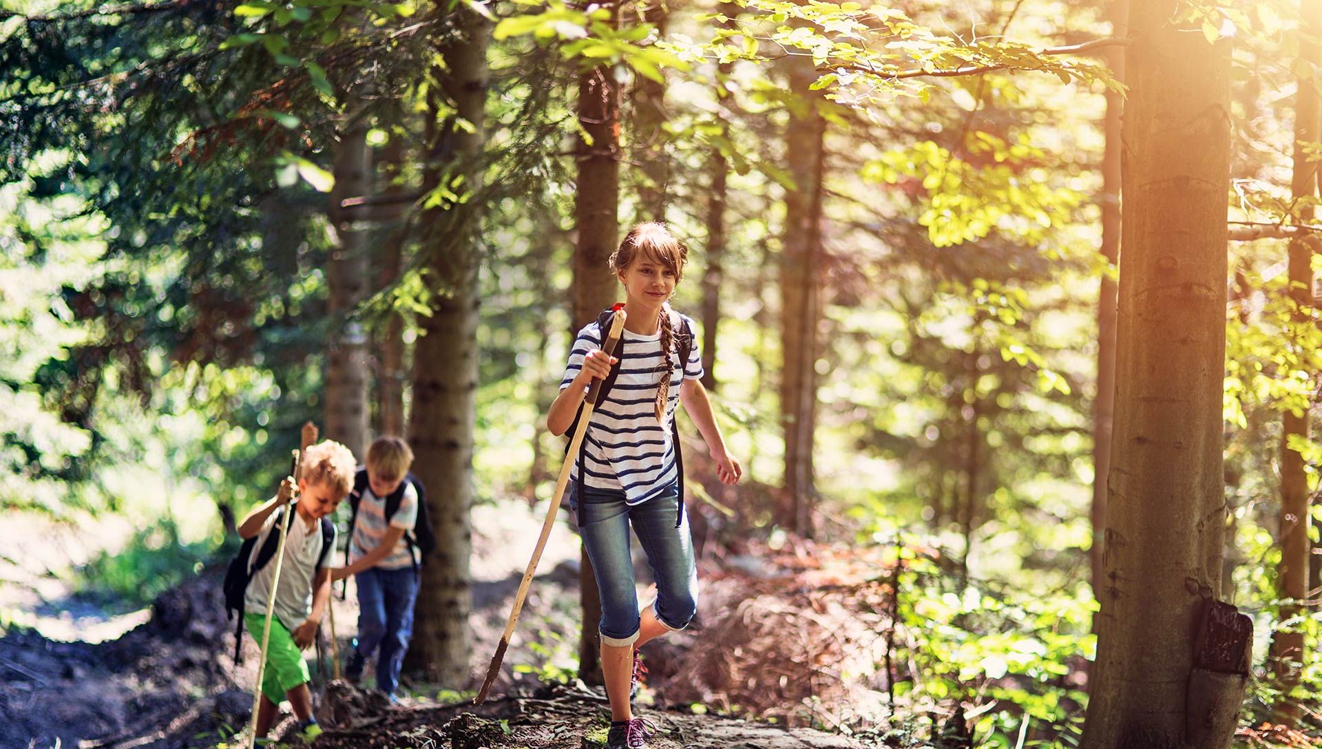 Familienerlebnisse im Wald