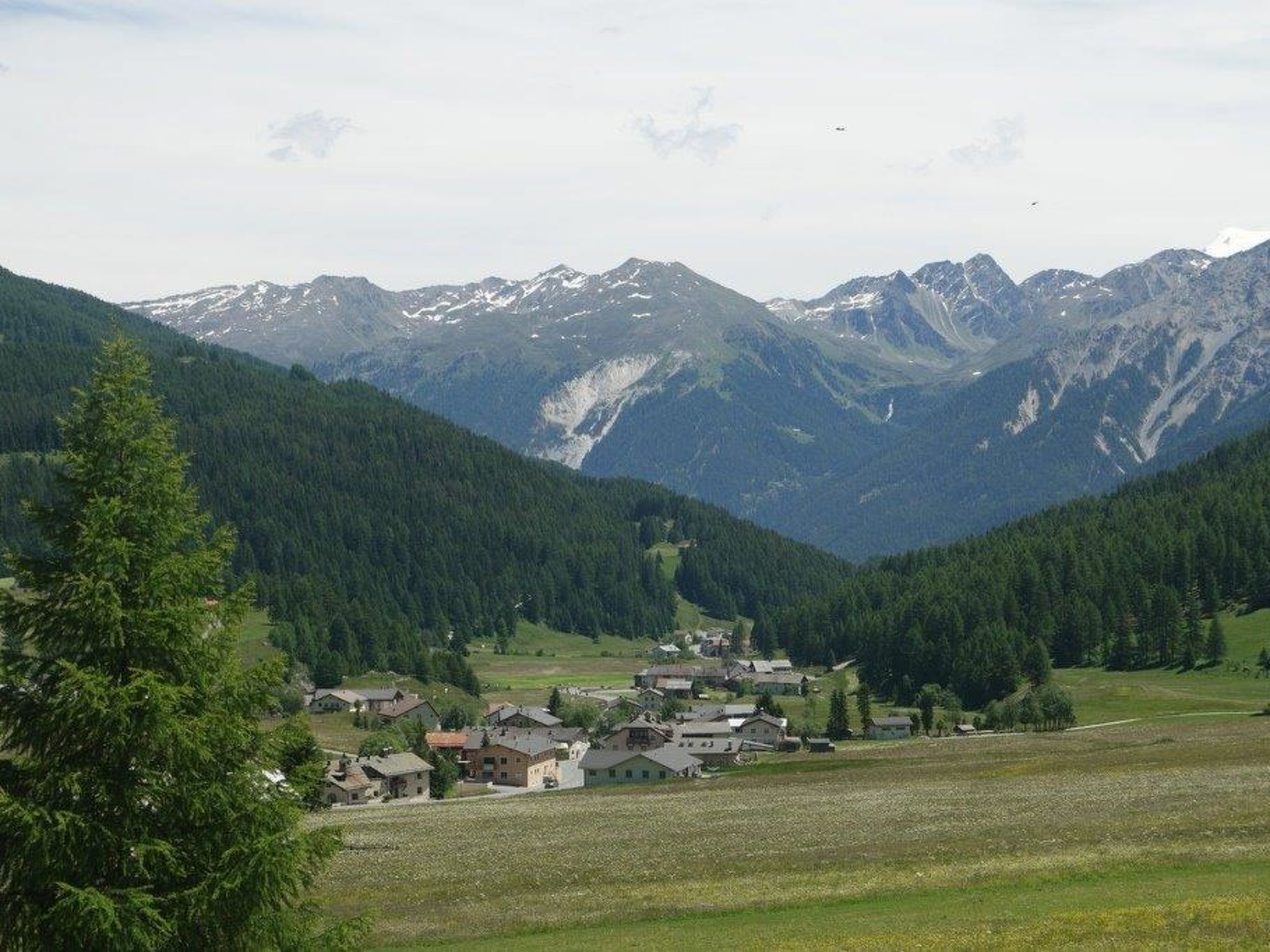 interhome-Chasa Müfaits Parterre, (Tschierv)