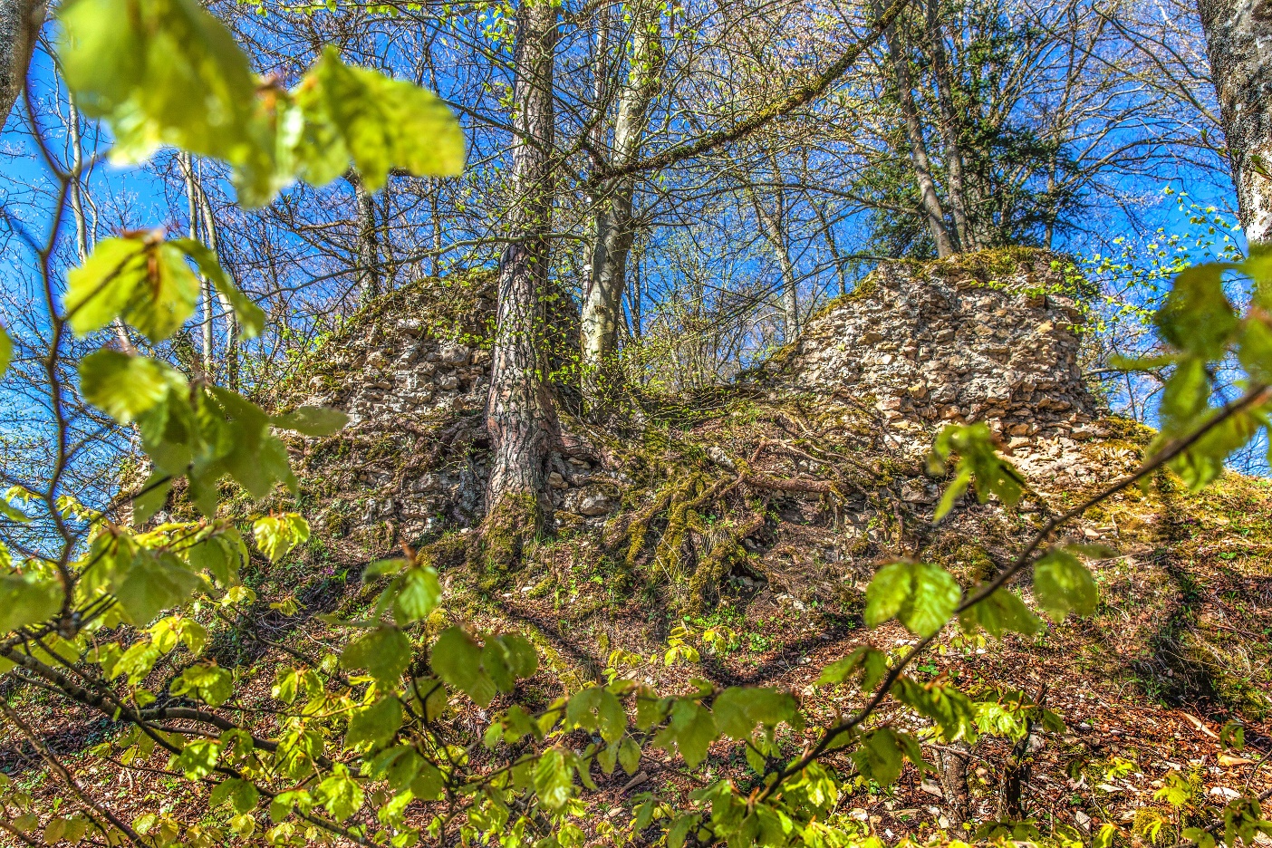 Ruine Alt Homberg