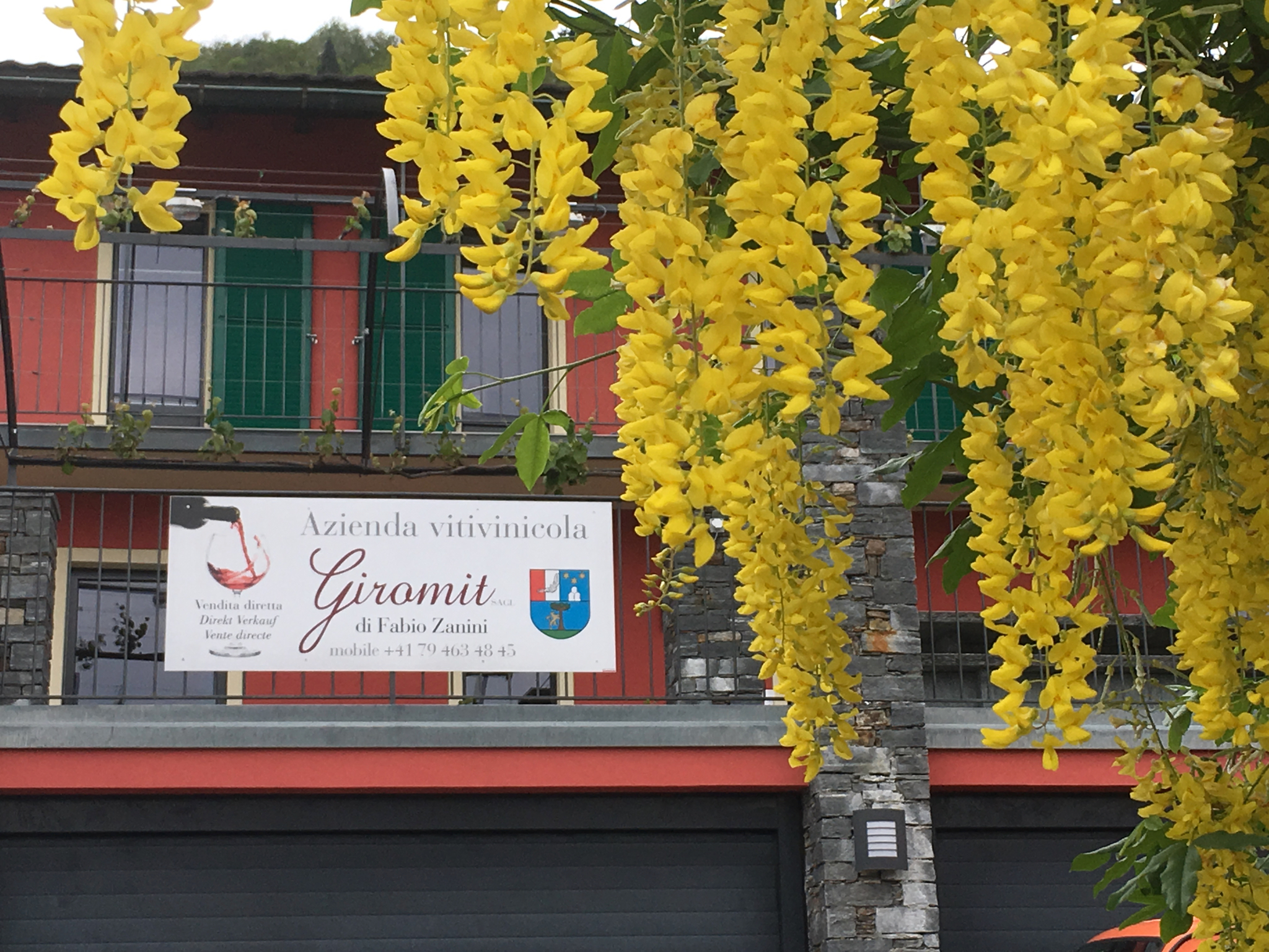 mys-Tour enologico con vista lago: Giromit – Tra vigne, cantina e sapori del territorio-Giromit