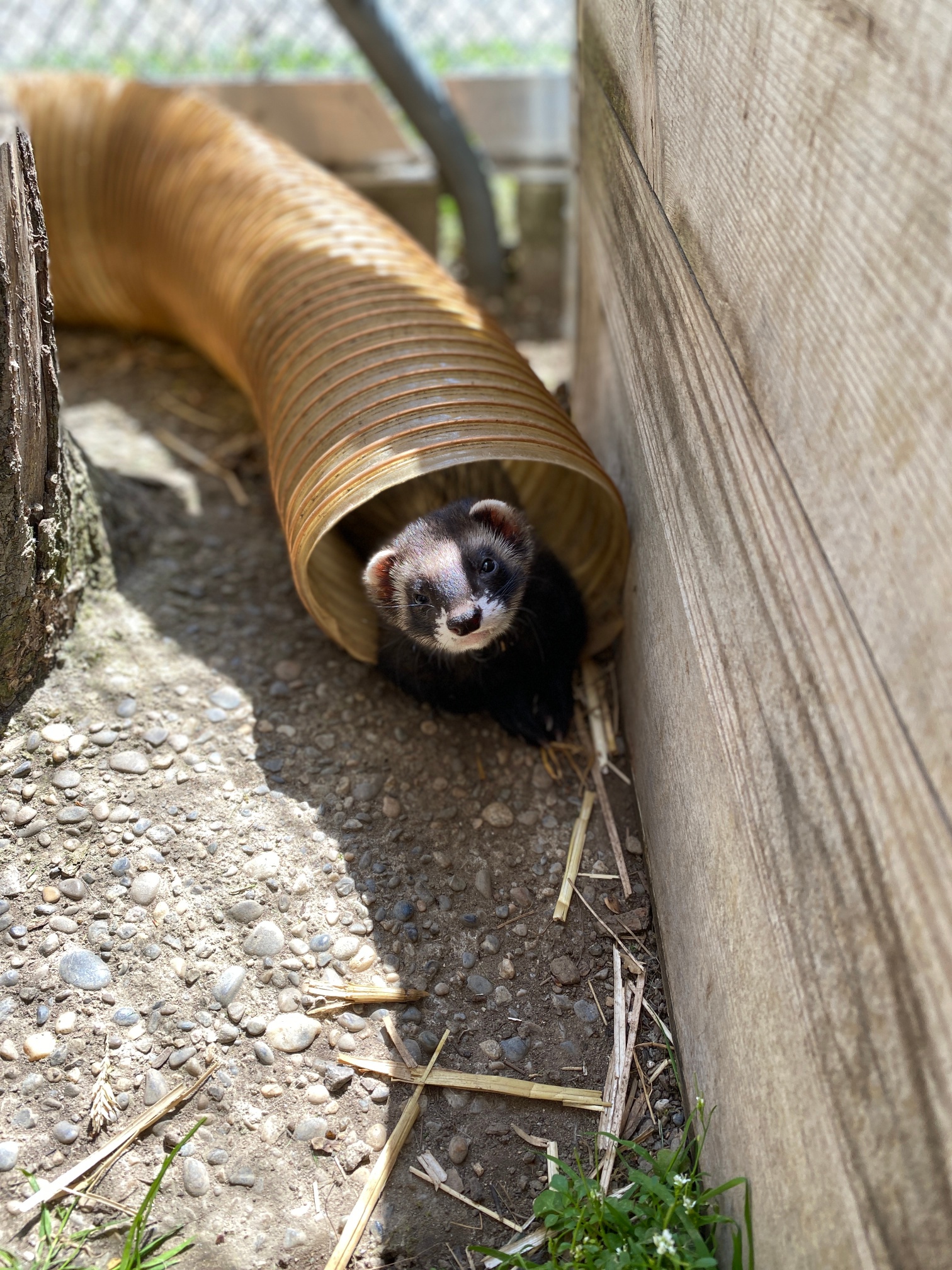 Tierpark Gnadenthal Reusspark