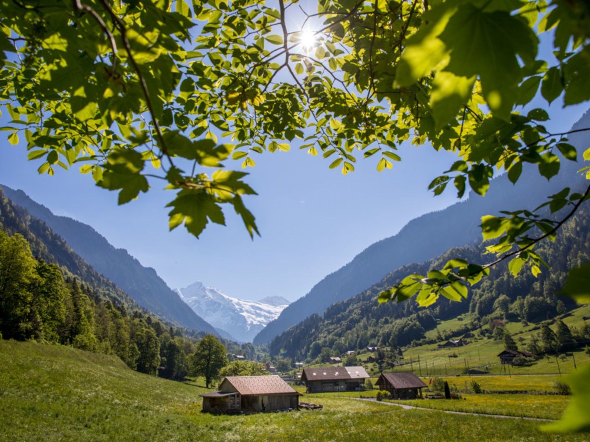 interhome-Haus bei Grindelwald