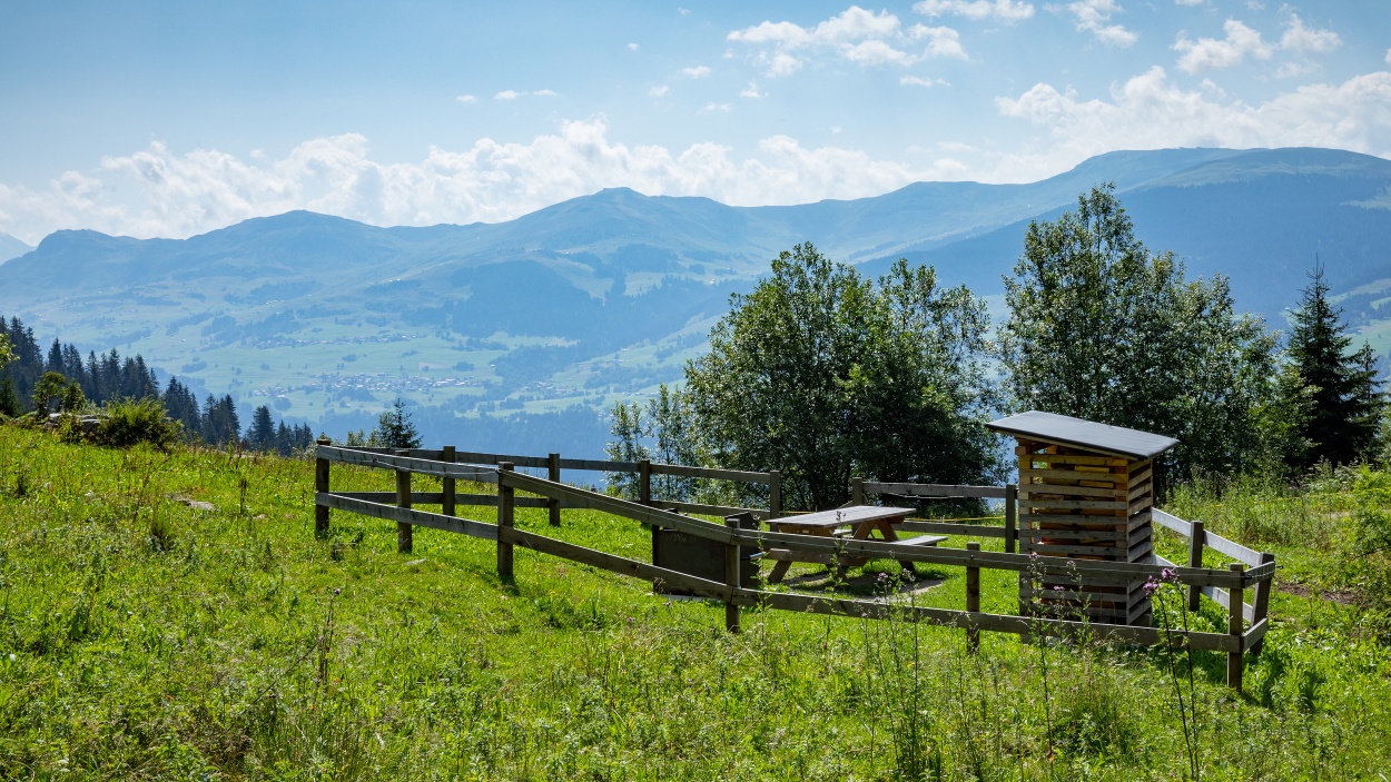 Feuerstelle Plaun da Steilas, Brigels