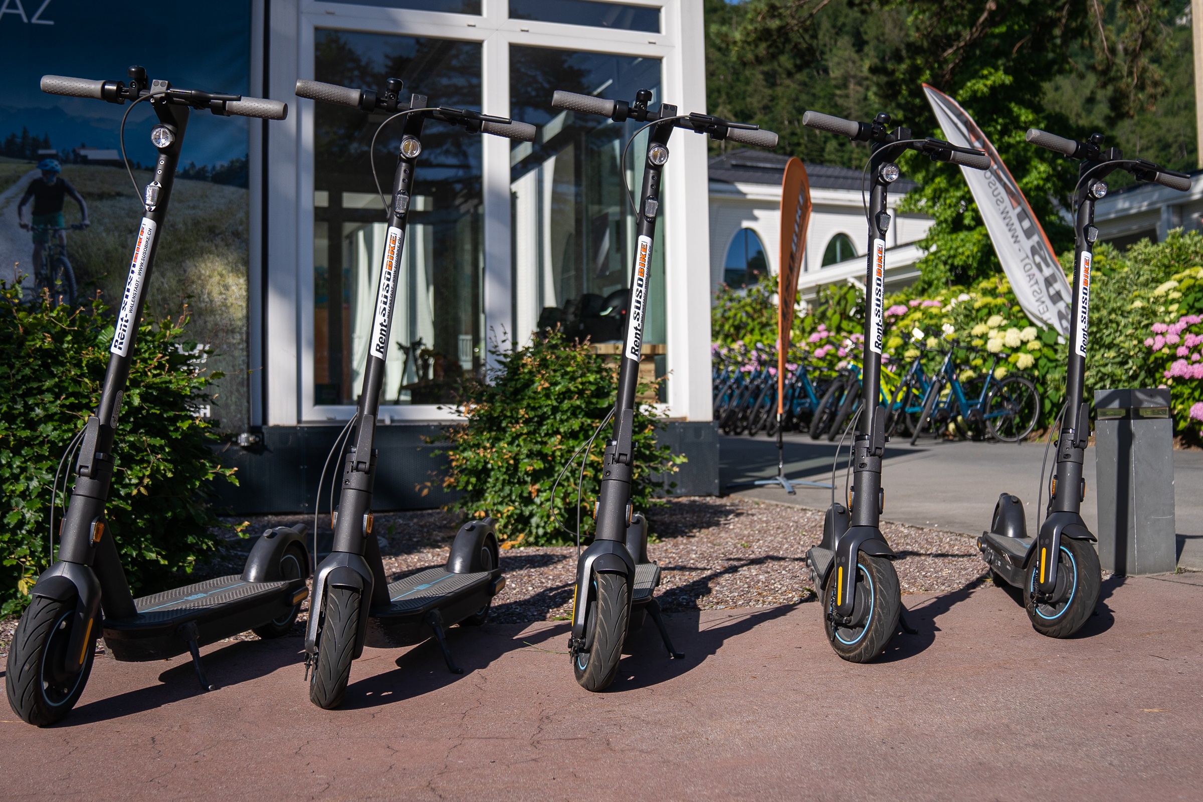 mys-E-Scooter Picknicktour Bündner Herrschaft-import_ebb61970-6420-4d49-a3c9-a1ec6215a26a.jpg