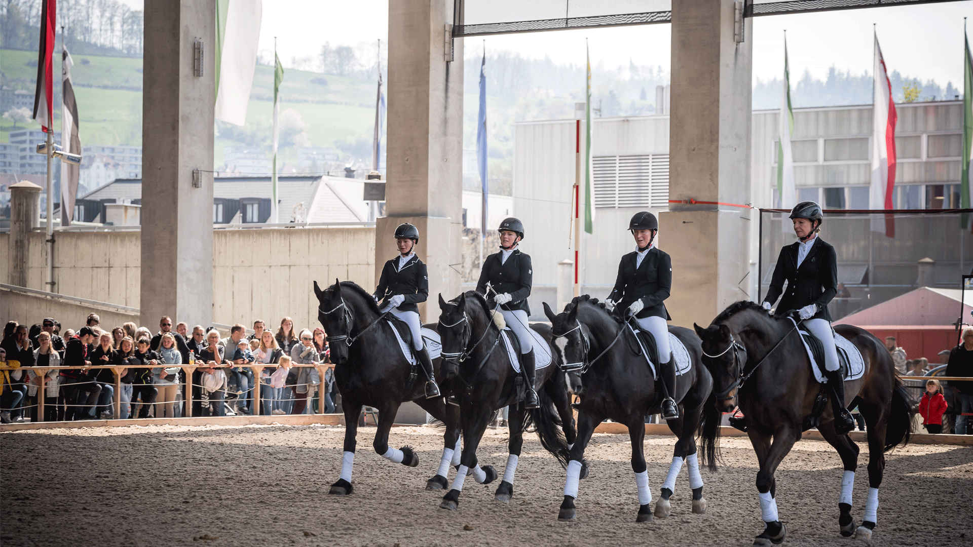 Vier Dressurreiterinnen