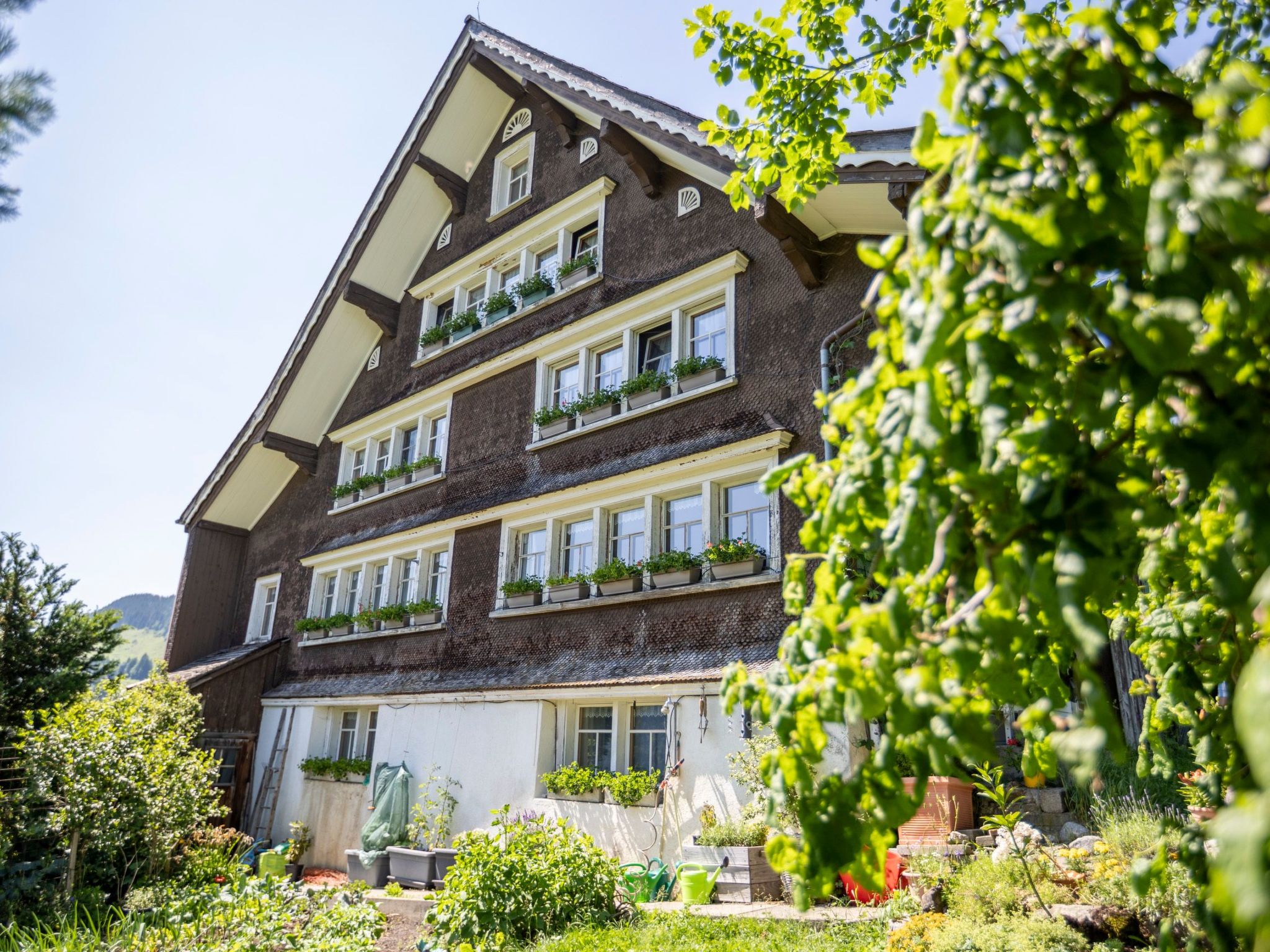 interhome-Haldenhof Schwizer