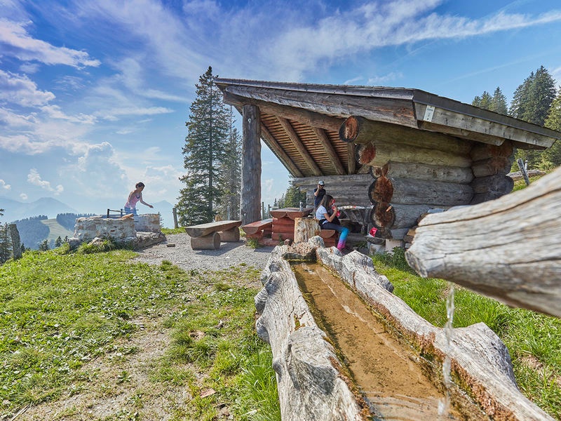 Gruebi Rigi Chäserenholz
