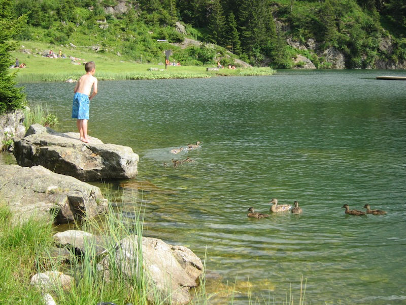 Bewegungsraum Golzernsee