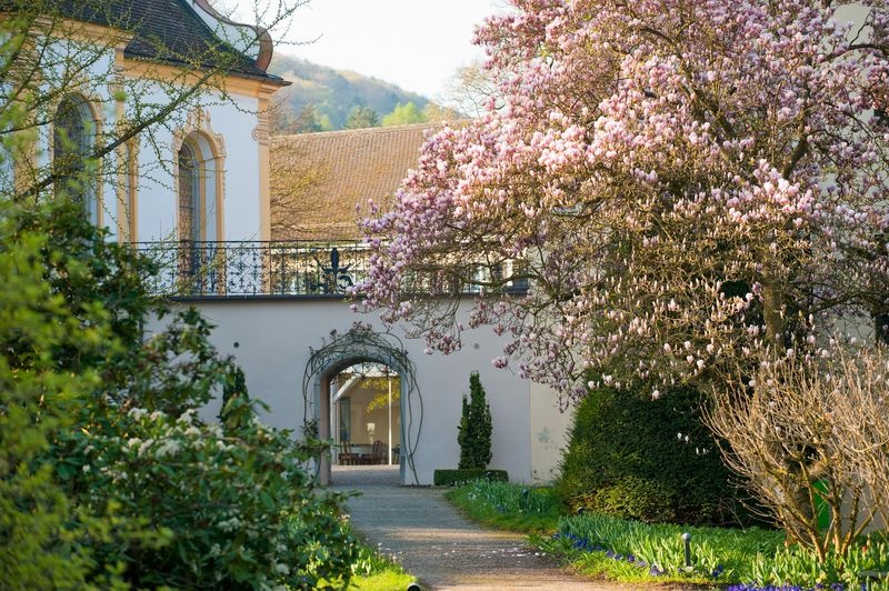 Schlosskapelle Klinik Schloss Mammern