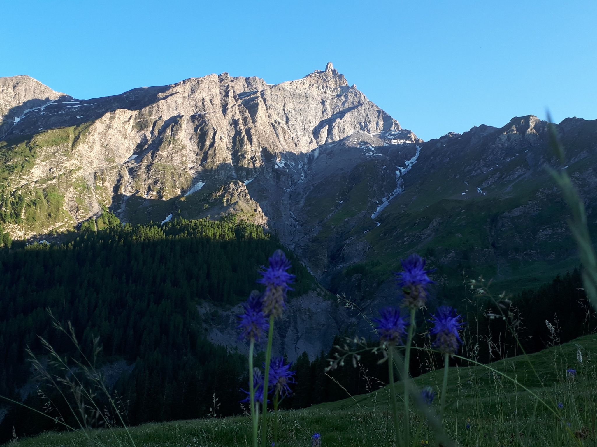 interhome-Hof Beeli, (Tschappina),