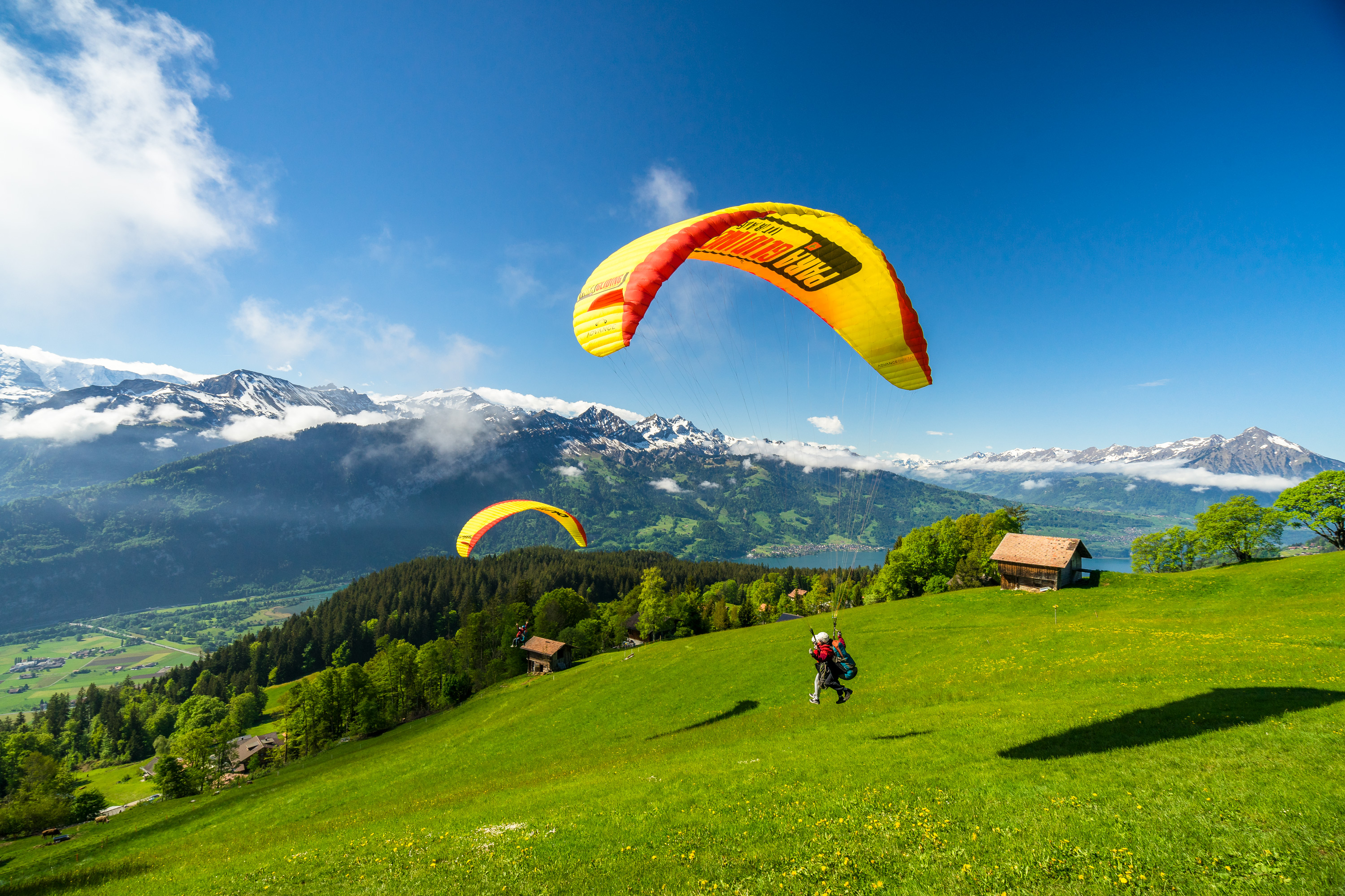 mys-Paragliding Interalken GmbH-Paragliding Interalken GmbH - _NIC9104.jpg