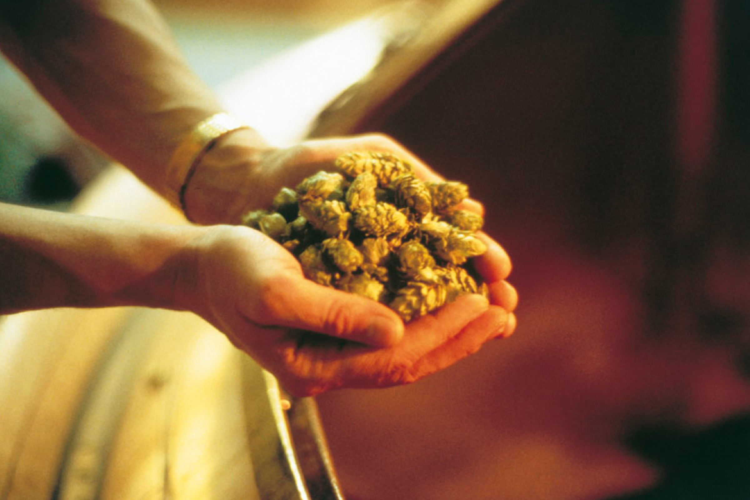mys-Öffentliche Führung in der Calanda Brauerei-import_065231f9-d86a-4fc4-81bb-4225066fe640.jpg