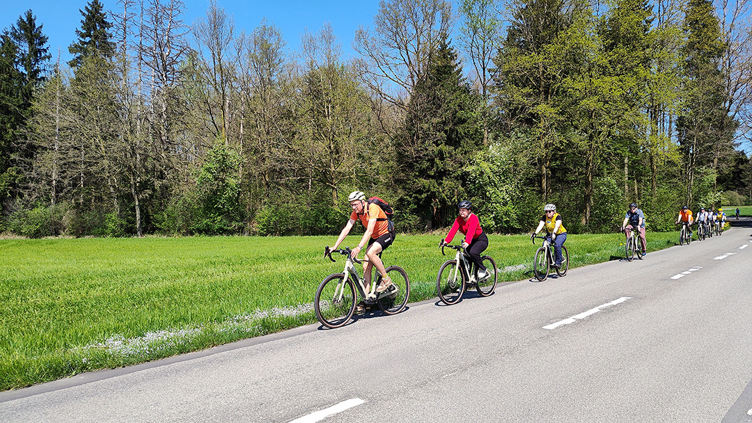 mys-E-Mountainbike-Miete-import_f734be15-d77c-48b7-9cf5-8ed8a4a1df49.jpg