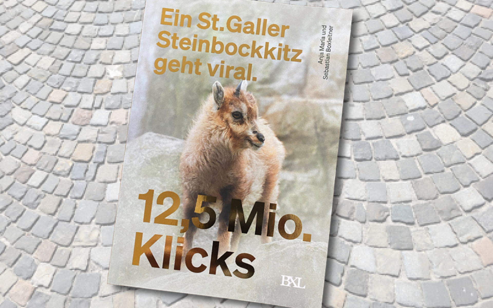 SGBT Buch Steinbockkitz
