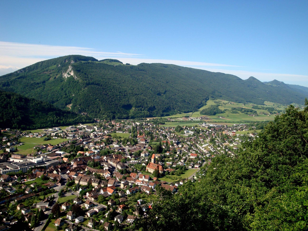 Holzfluh (734 m ü. M)