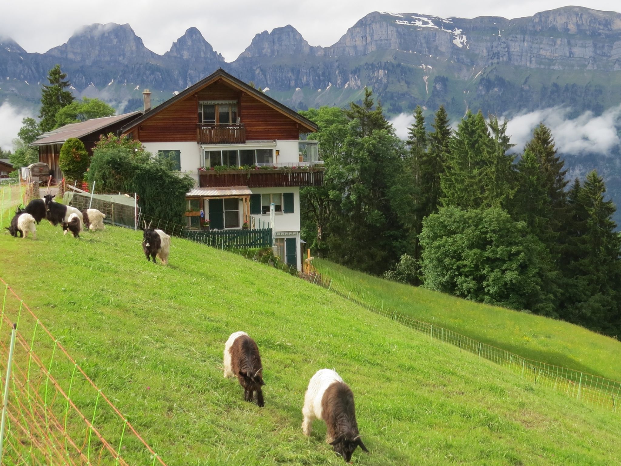 interhome-Schwendihof, (Flumserberg Tannenheim),