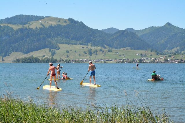 Sihlsee-Fisch
