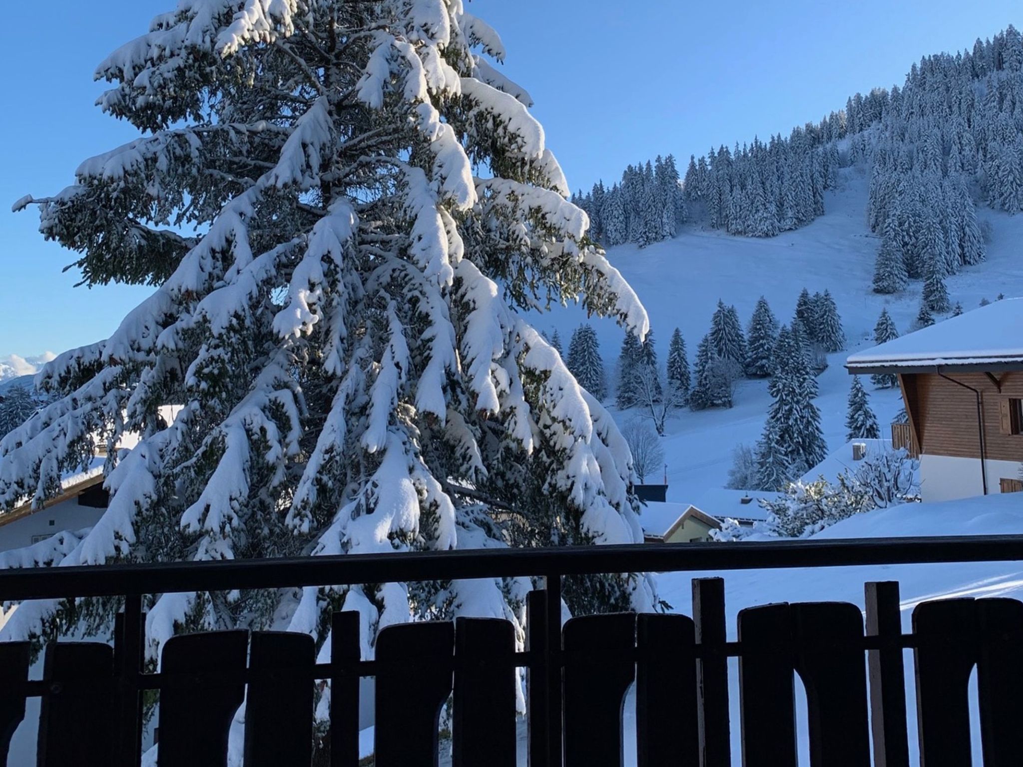 interhome-Chalet Marlies, (Flumserberg Tannenboden),