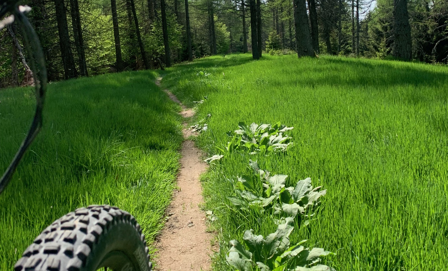 Trailtour, Mountainbike-Touren