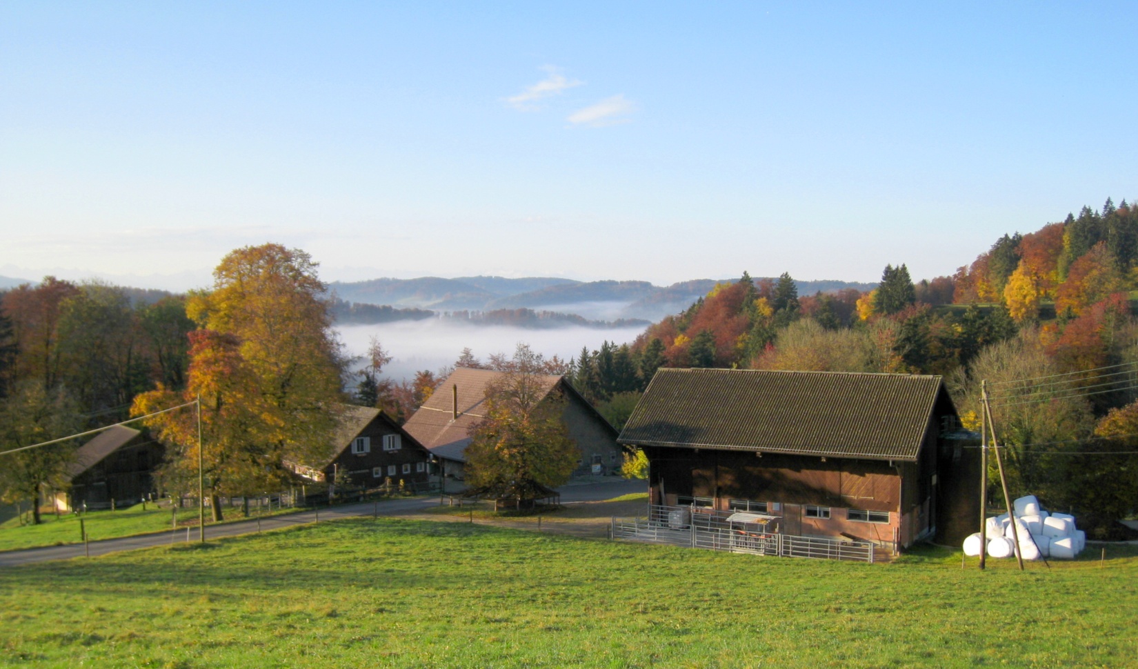 Alpwirtschaft Schnurrberg