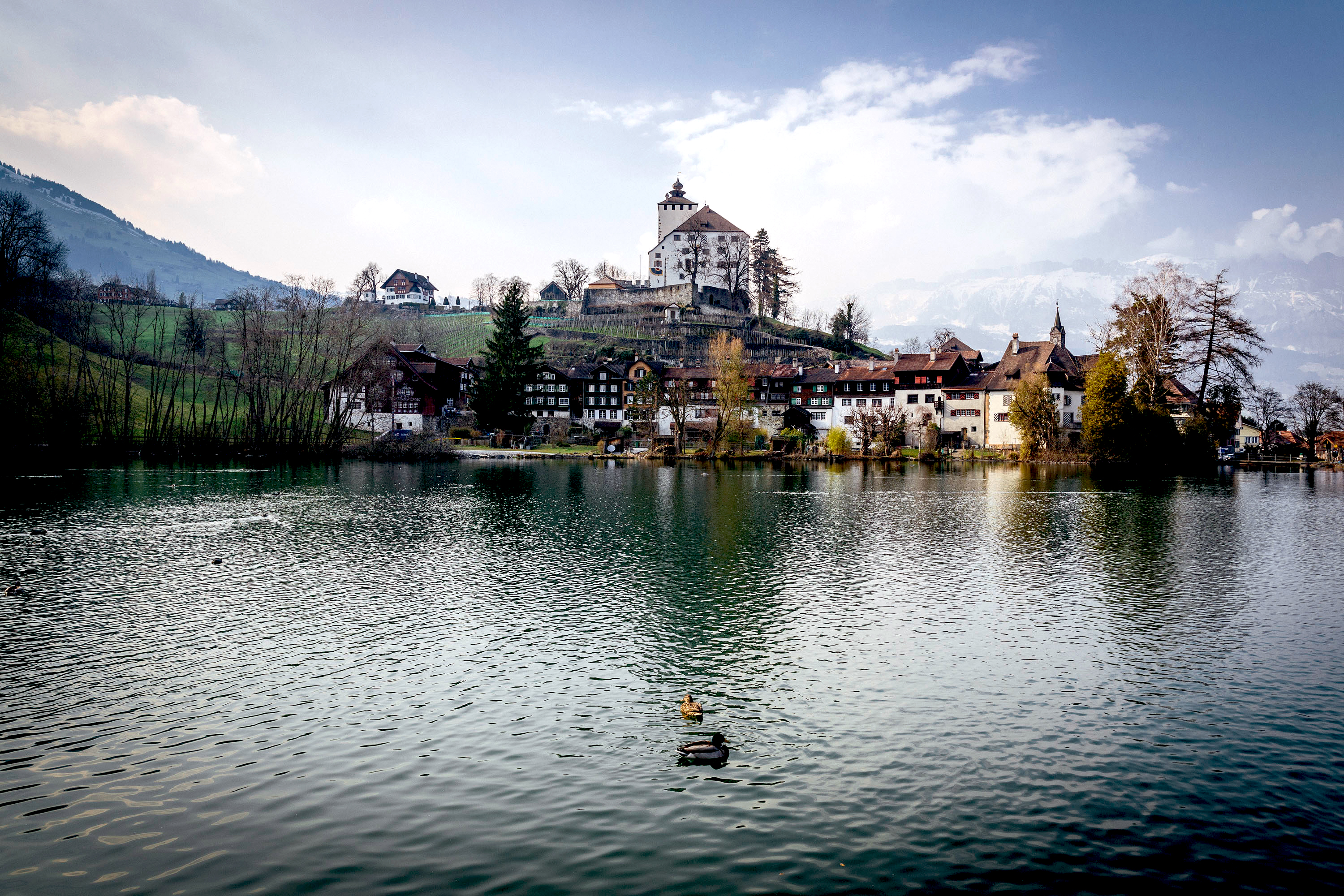 Das Schloss Werdenberg hinter einem blauen See mit Enten