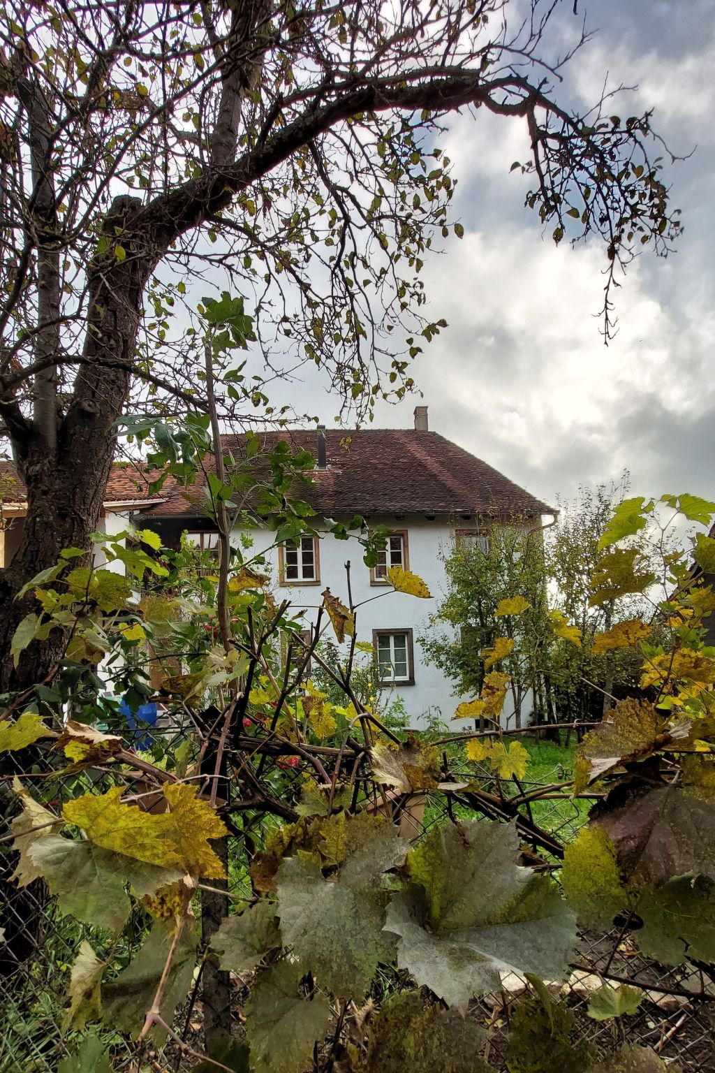 interhome-Giselas Ruheplatz