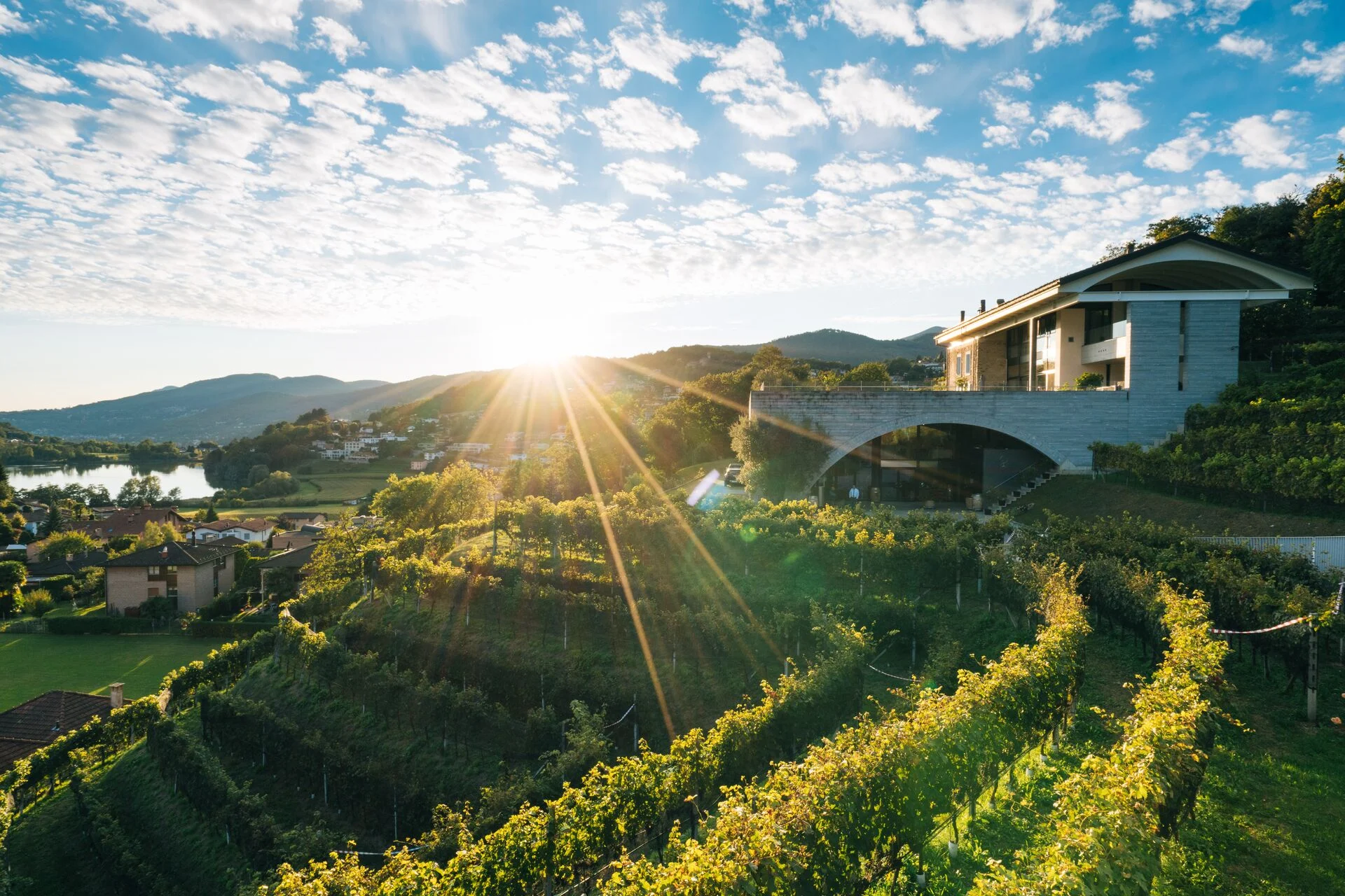 mys-Cantine Aperte in WINE UP! – Luganese e Collina d'Oro 17.05.2026-Fattoria Moncucchetto