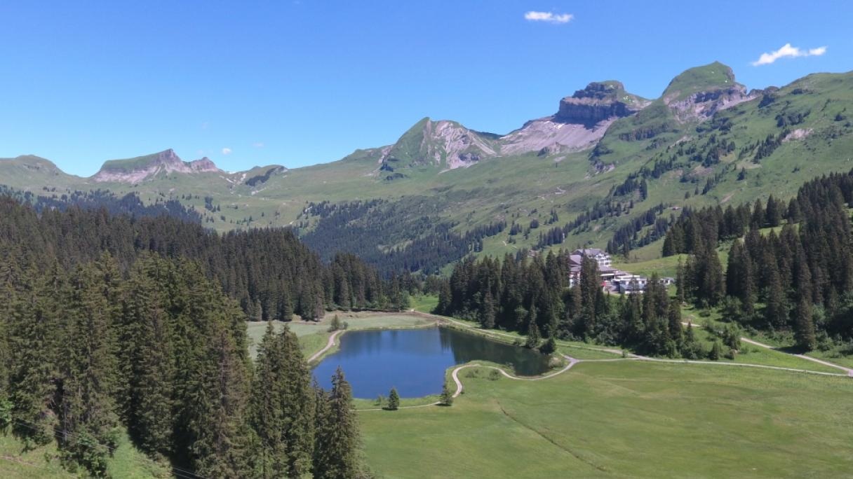 Seeblisee