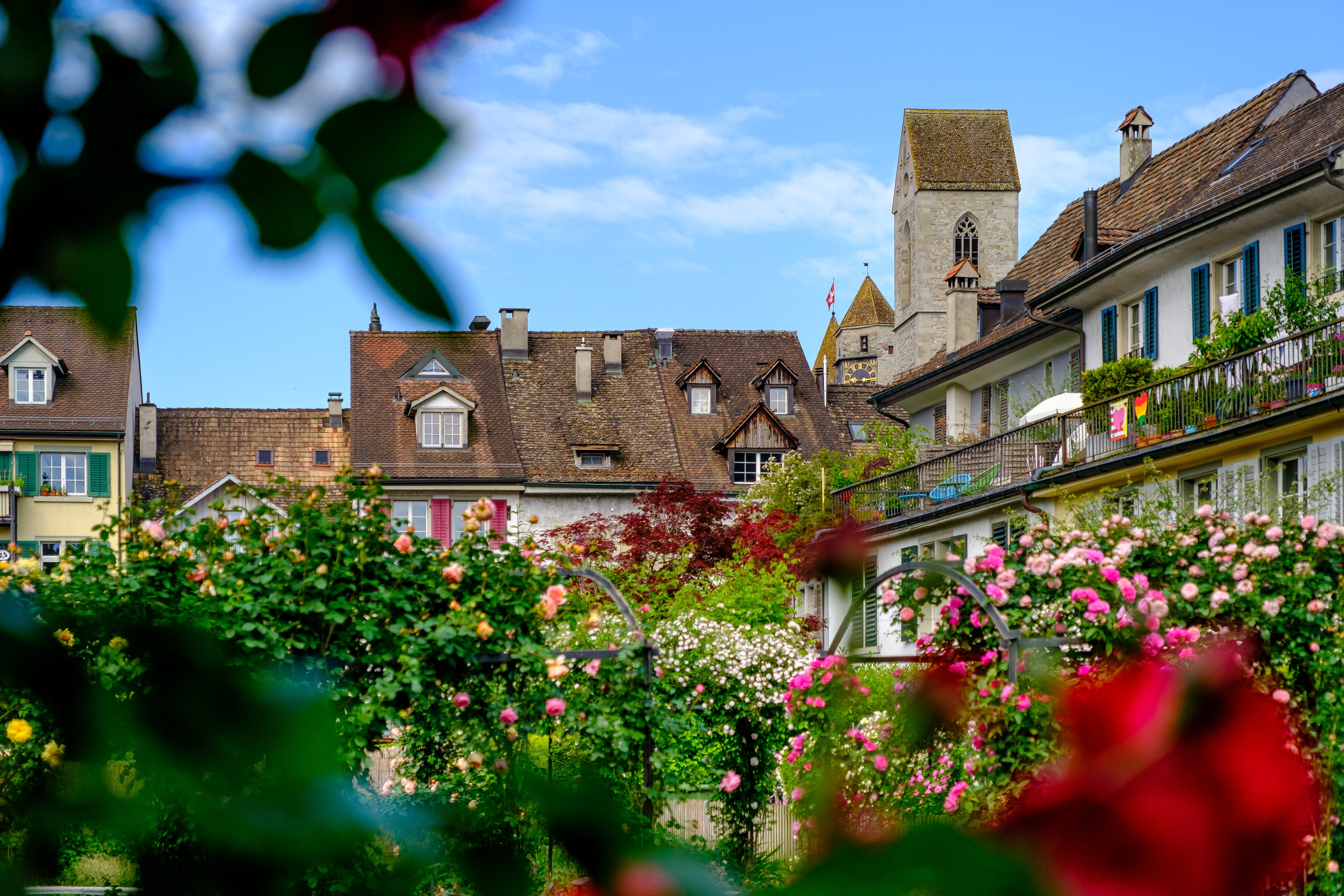 Blumengarten mit Rosen in der Altstadt von Rapperswil-Jona