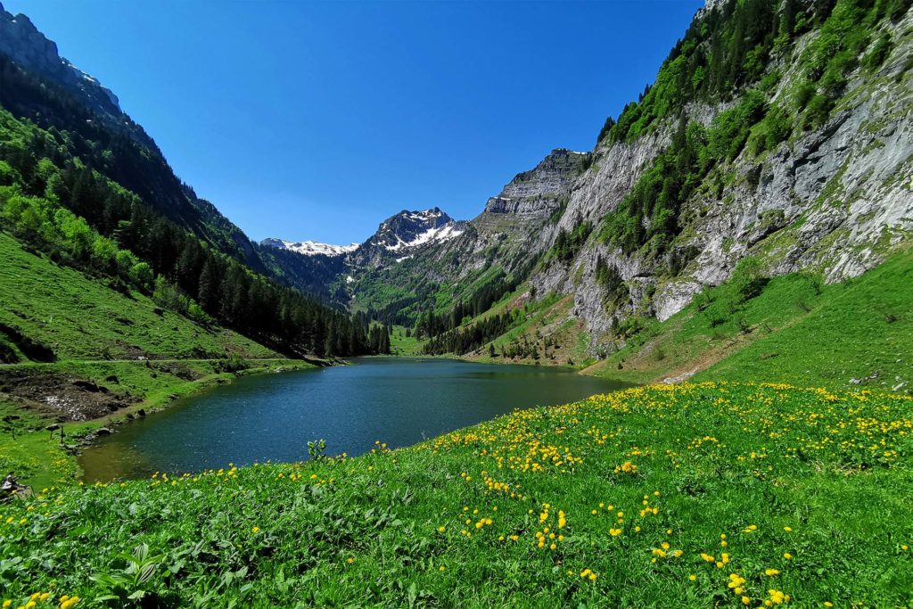 mys-Myswisspanorama-Myswisspanorama - Bergsee_Schweiz4-1-1024x683.jpg