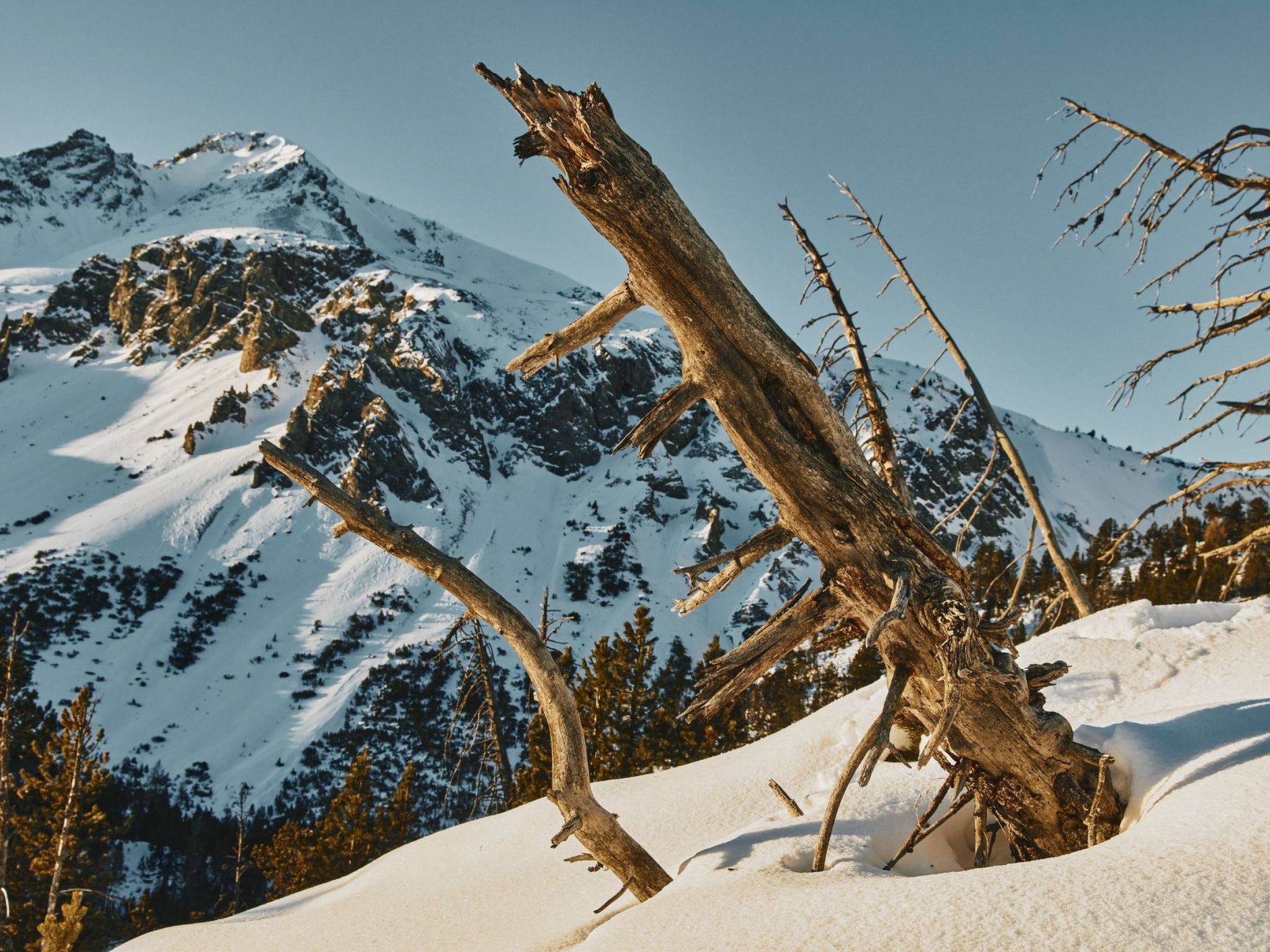 interhome-Hütte Ova Spin il Cuvel, (Zernez)
