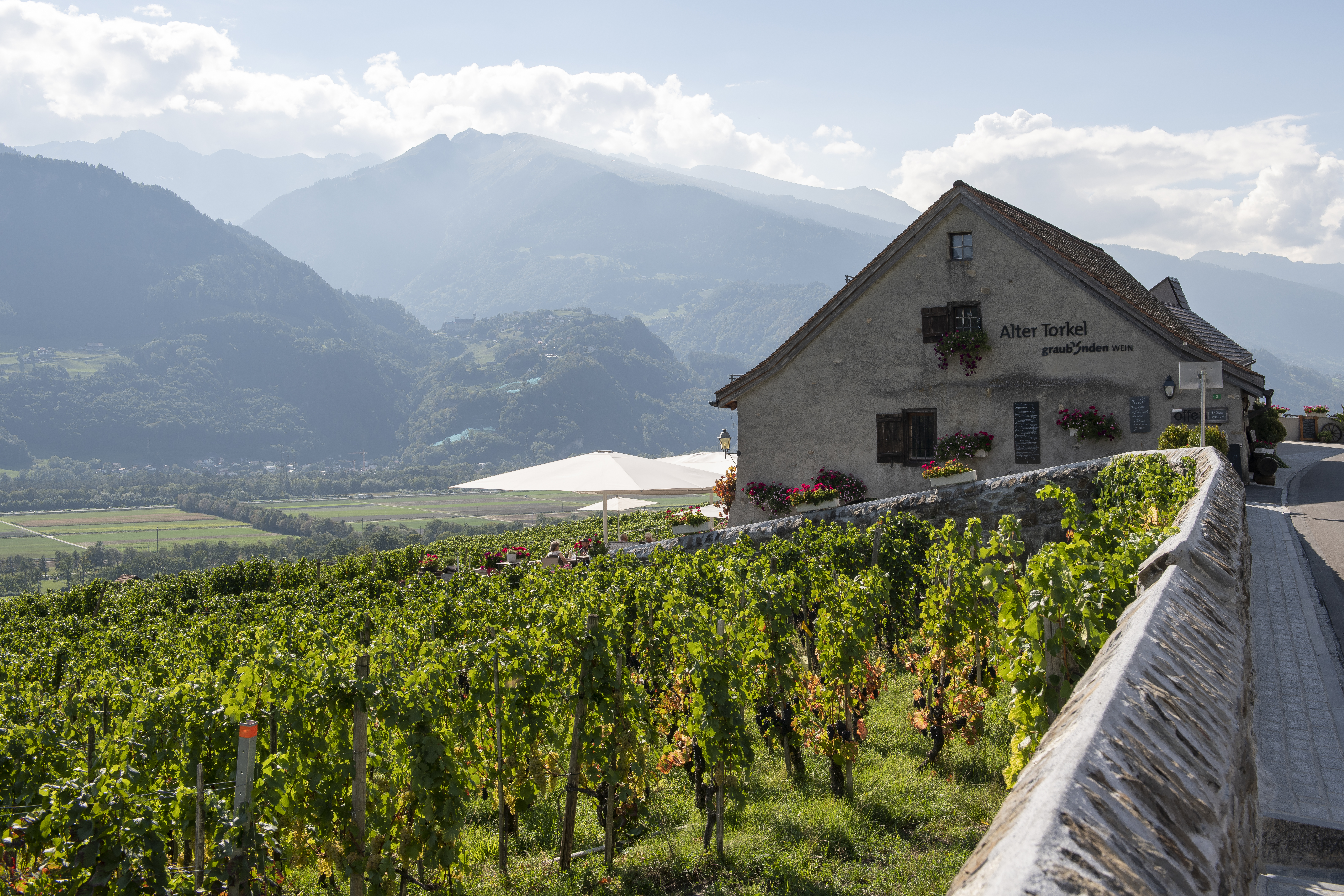 Historisches Weingut Alter Torkel in Jenins, Graubünden mit Blick auf sonnige Weinberge und die majestätische Alpenlandschaft.