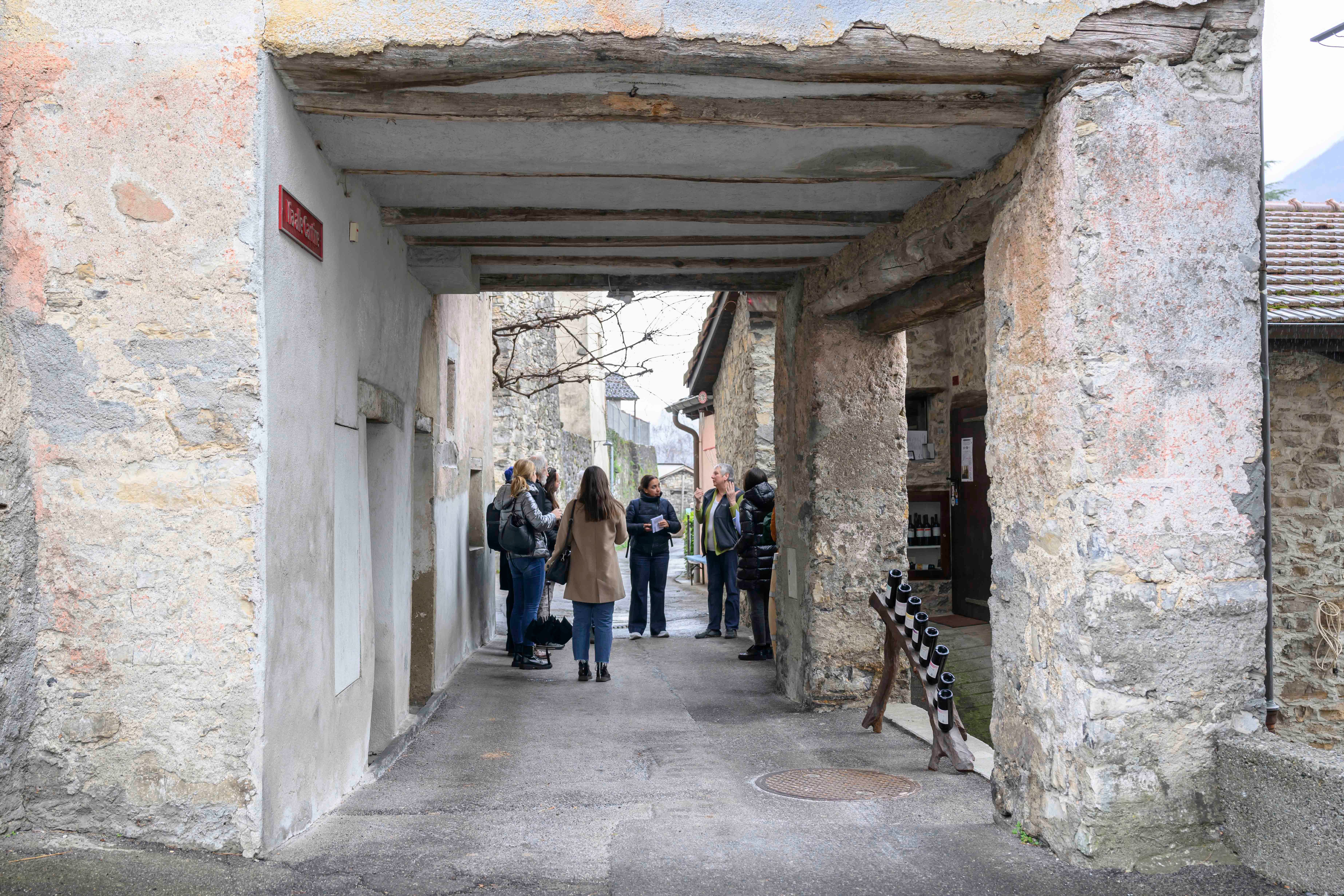 mys-Immersi nel più bel paesaggio della Svizzera-Cantina Cavallini