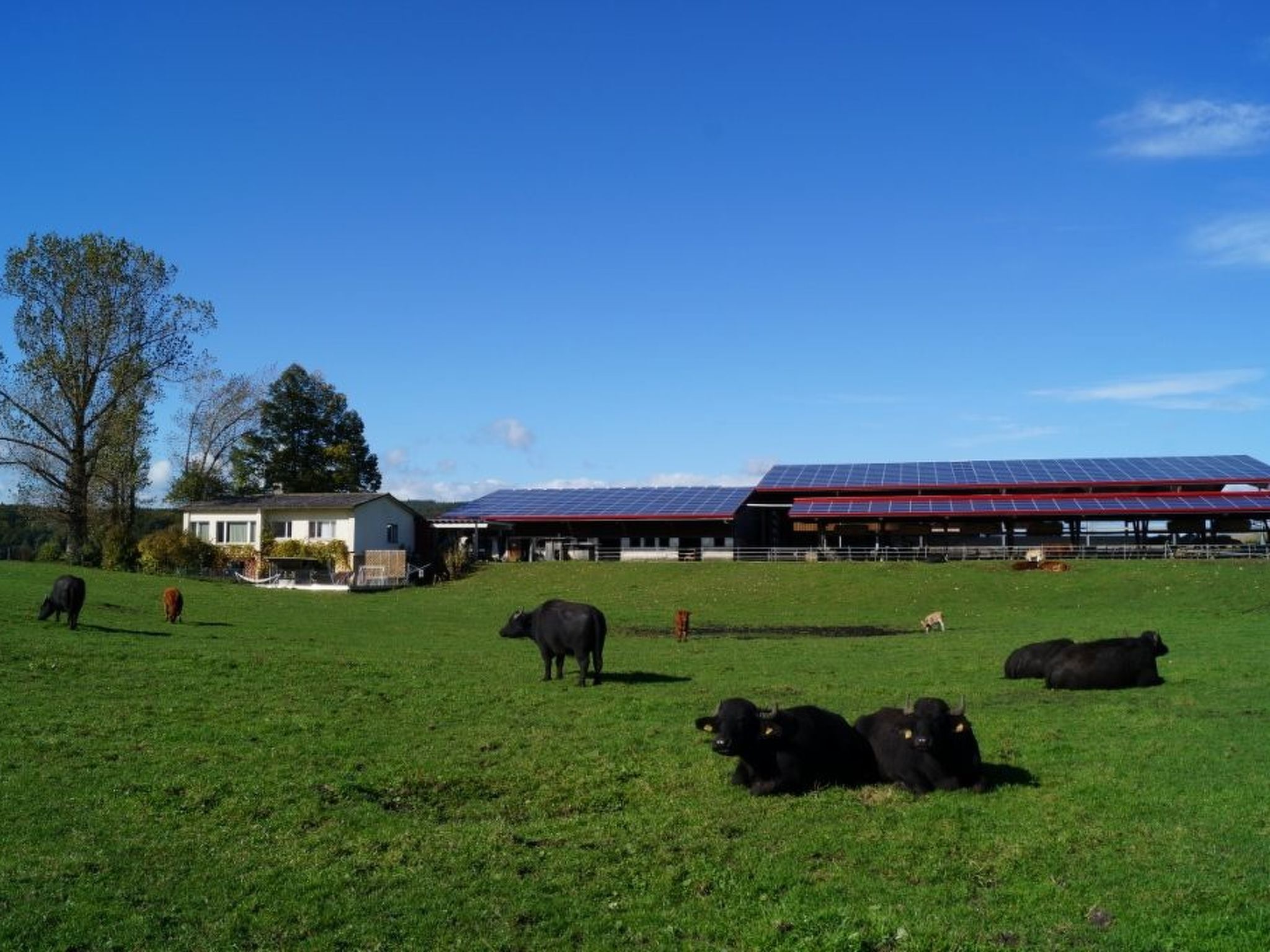 interhome-Erlebnis- und Biobauernhof Bolderhof, (Hemishofen),