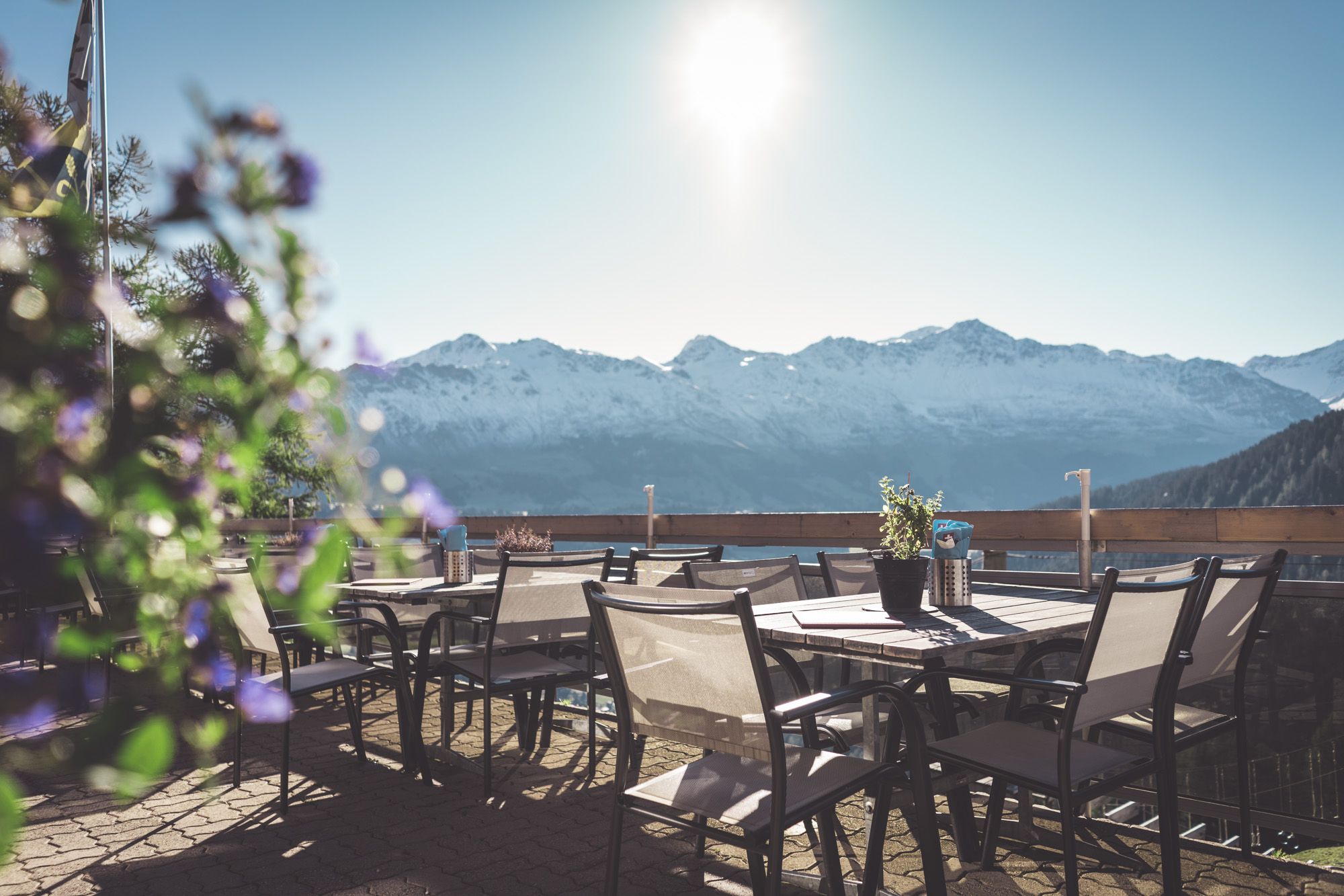 mys-Kulinarik Tour: Genusswanderung...mit Pfiff!-import_fd45aa58-7fc3-41ef-833d-a7440c72cda7.jpg